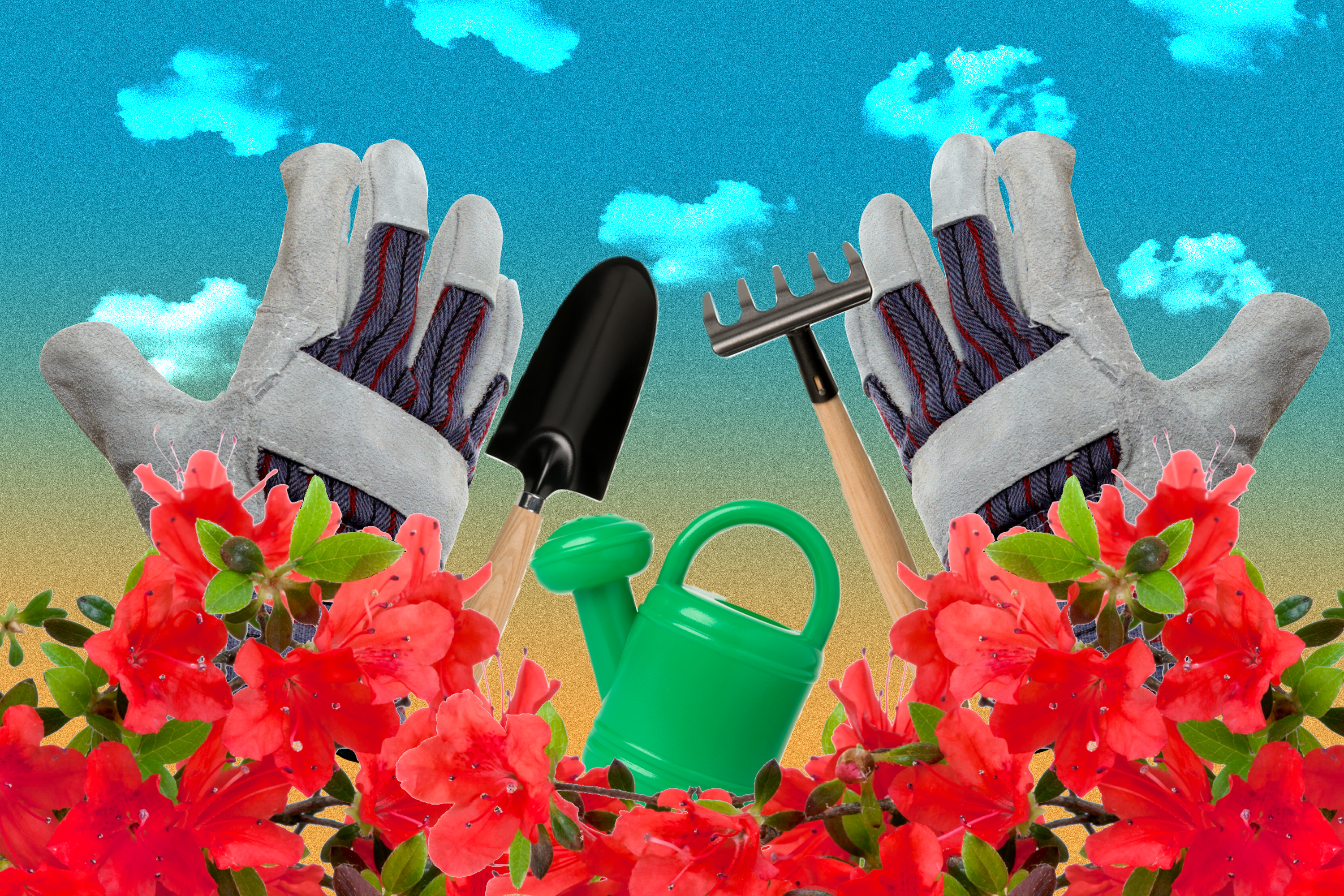 Mother's Day gift ideas: Backyard and patio garden tools - Vimarsana News