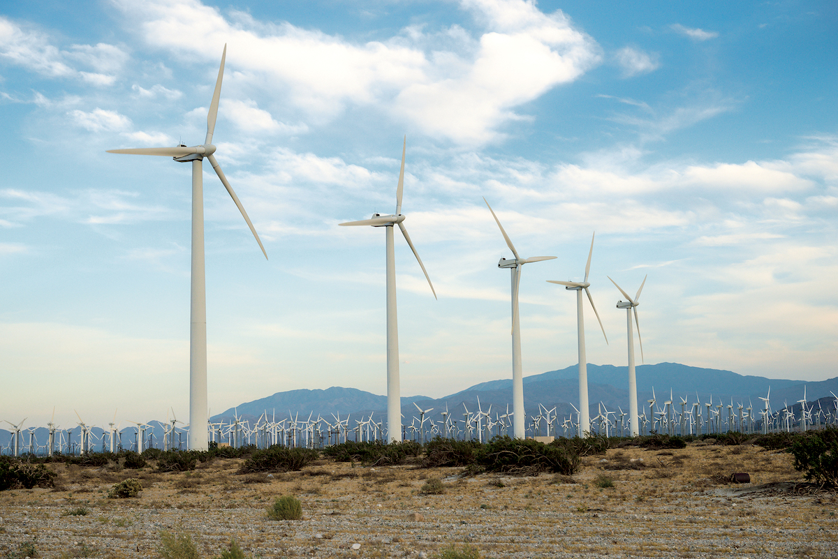 Facebook, Google oppose Buffett-backed wind farm project - Vimarsana News