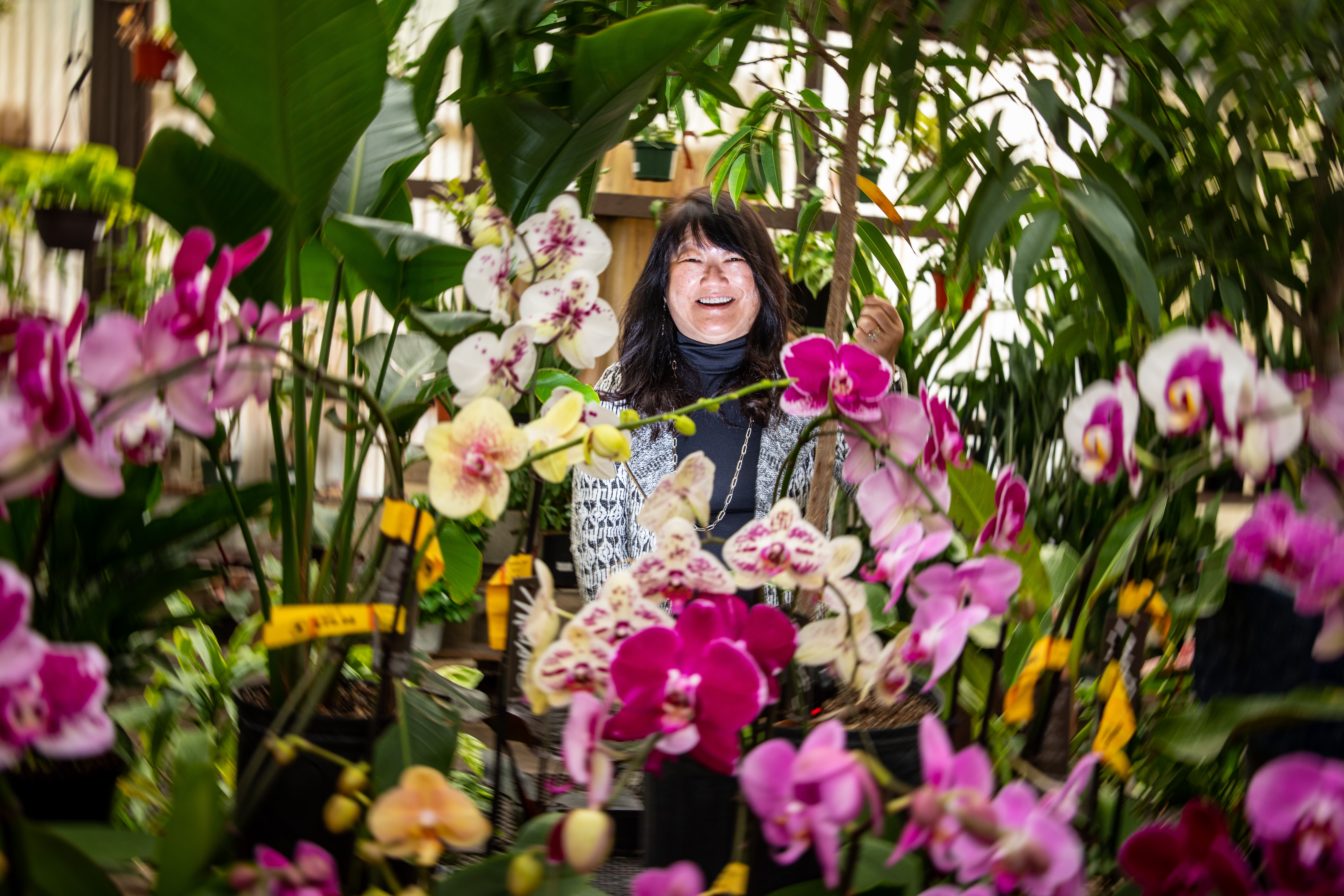San Gabriel Nursery and Florist celebrates 100 years - Vimarsana News