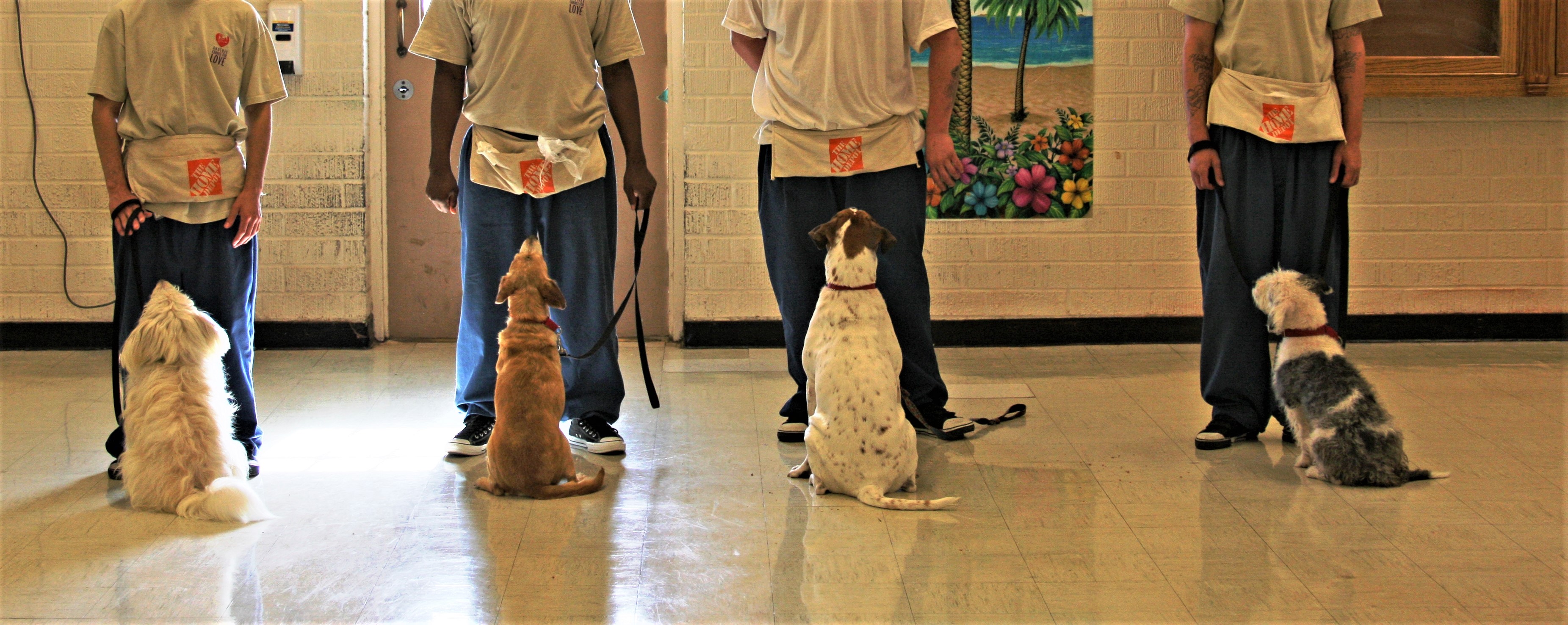 Juvenile Hall youth learn about love, loss and second chances training dogs for adoption - Vimarsana News
