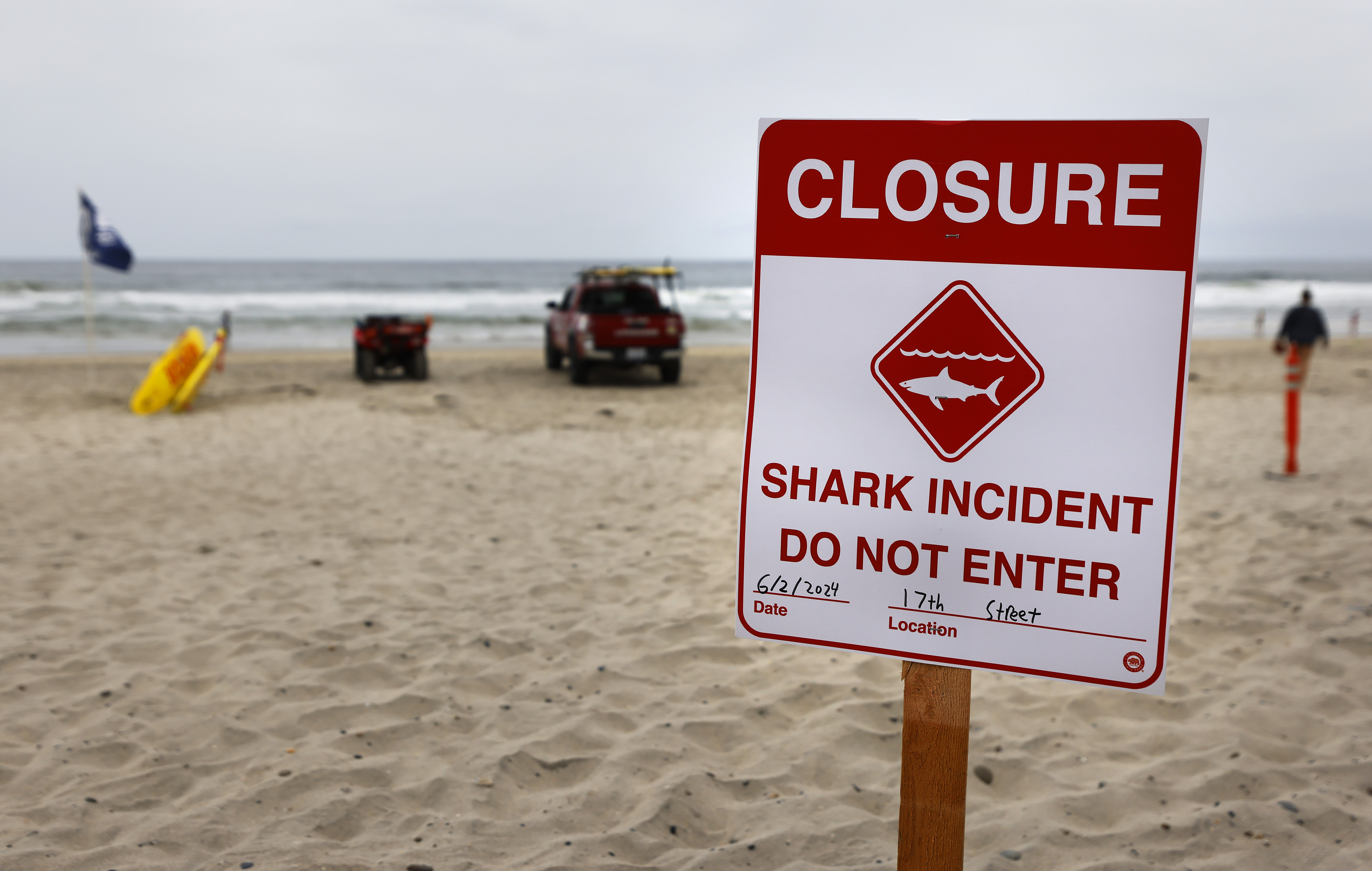 Beaches set to reopen in Del Mar after swimmer bitten by shark Sunday - Vimarsana News