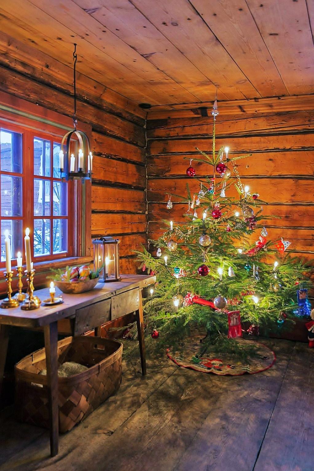 Garden mastery: Evergreens can be part of a sustainable holiday celebration - Vimarsana News