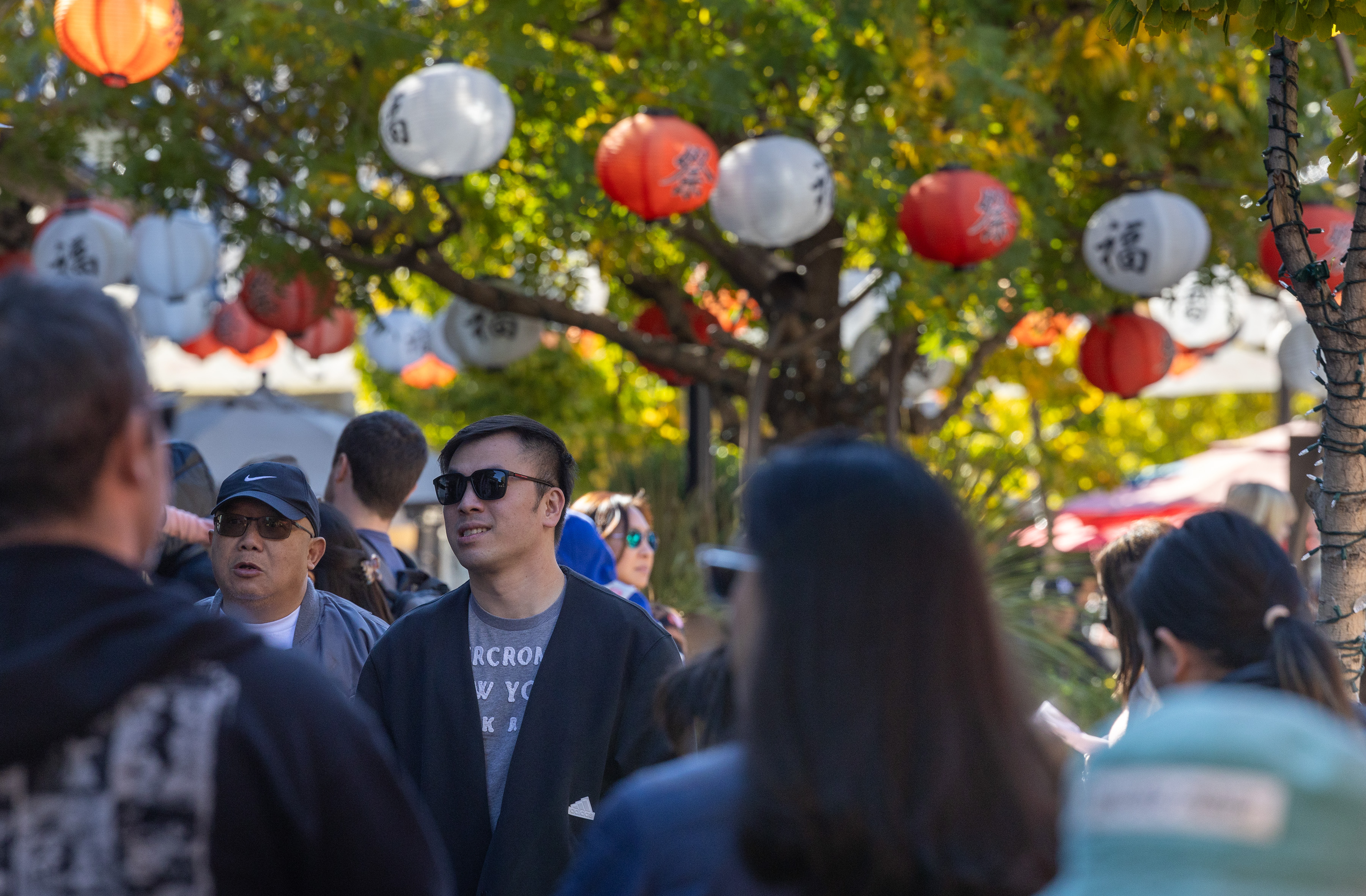 How we dived into statistics to understand AAPI communities in Southern California - Vimarsana News