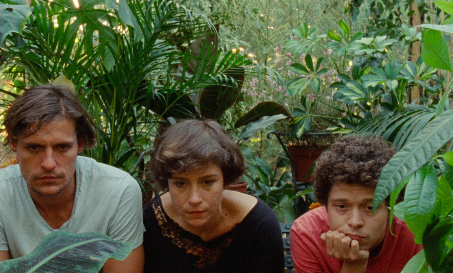'The Tsugua Diaries' review: August, backwards - Los Angeles Times - Vimarsana News