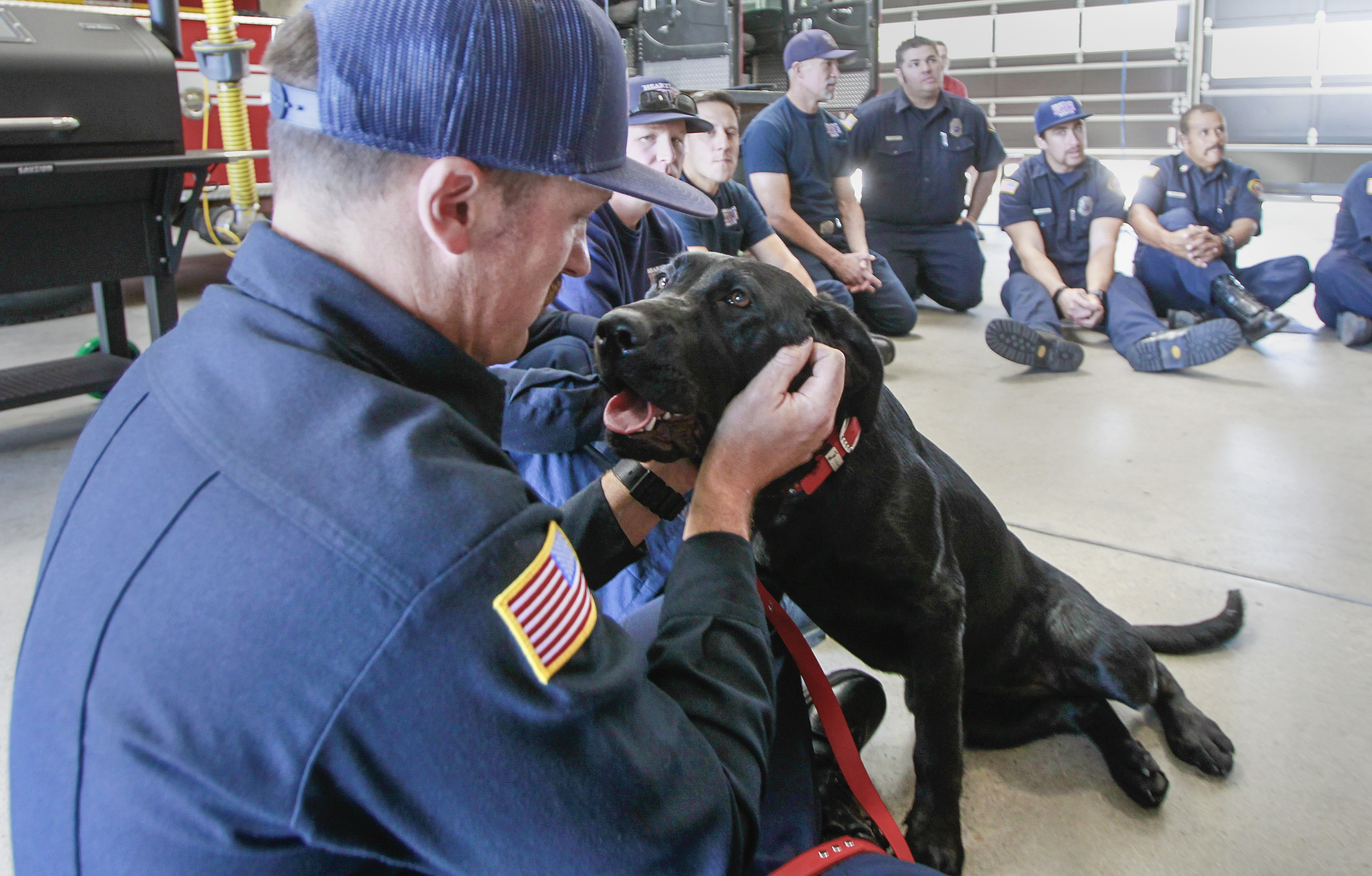 Yara the 'fire dog' makes herself at home in El Cajon - Vimarsana News