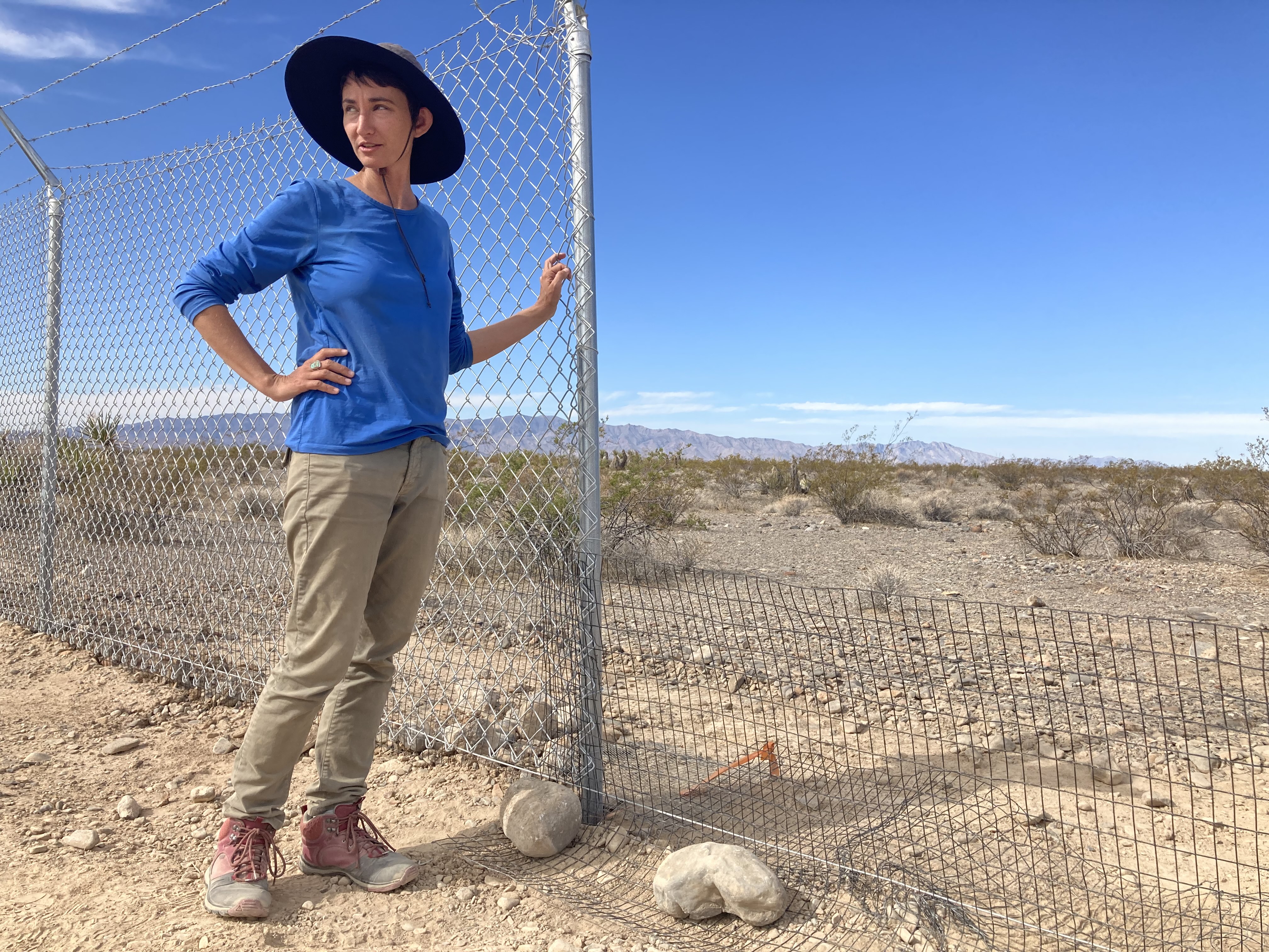A climate change battle in the Mojave Desert - Los Angeles Times - Vimarsana News