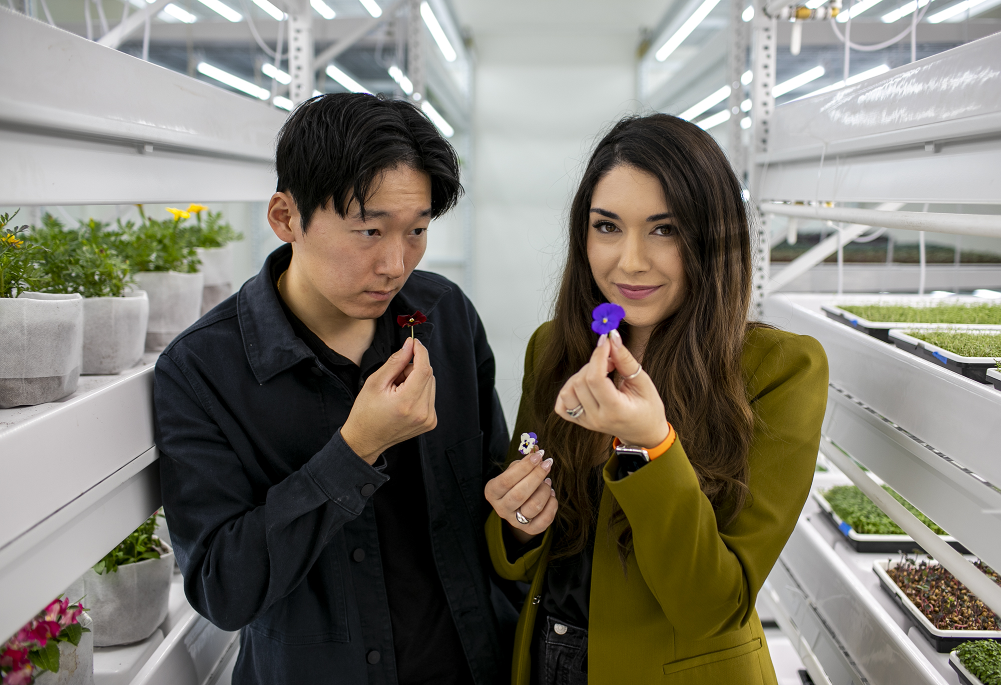 Malaia's Microgreens in Irvine takes farming into the - Vimarsana News
