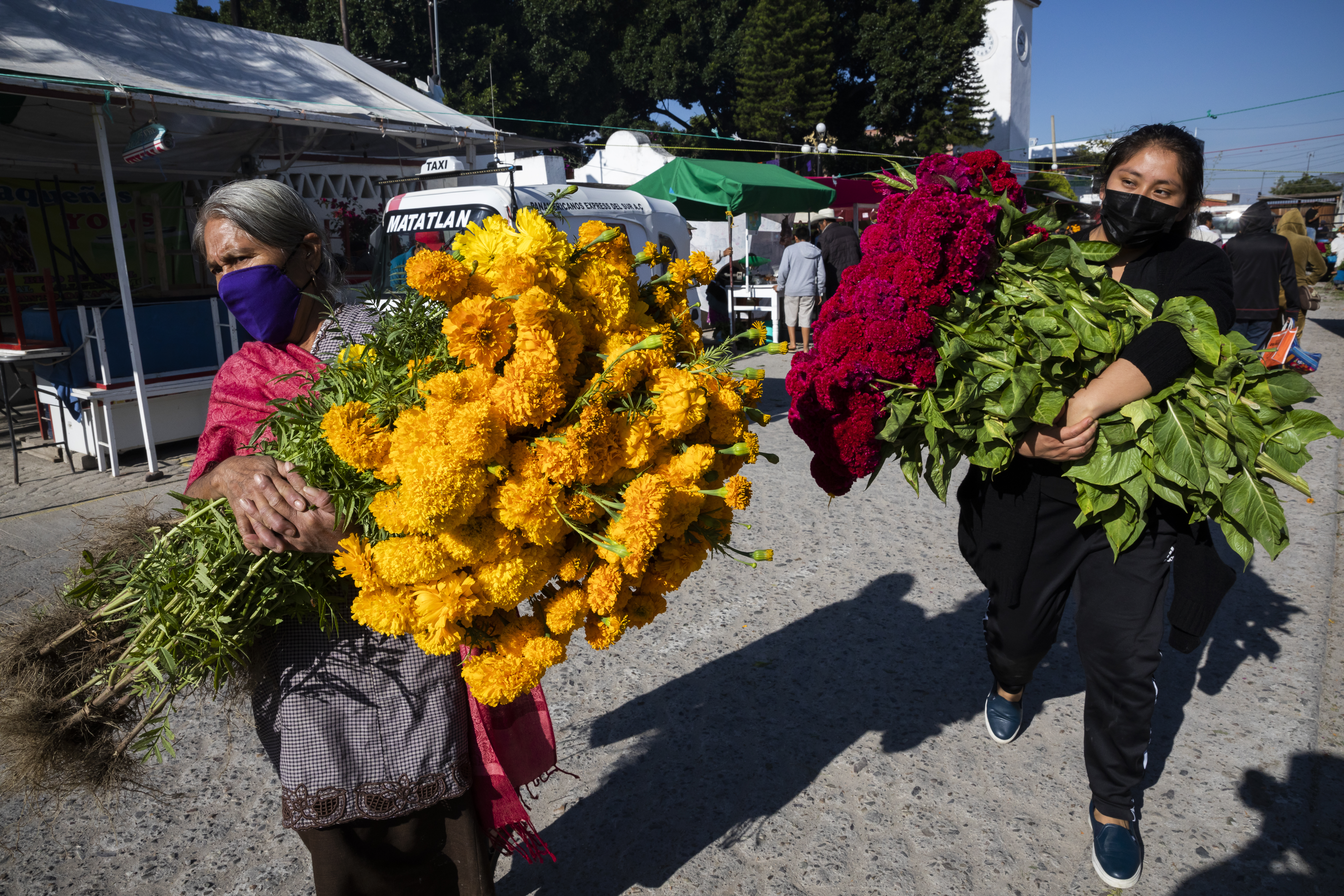 Families travel to Mexico to honor dead for Día de Muertos - The San Diego Union-Tribune - Vimarsana News