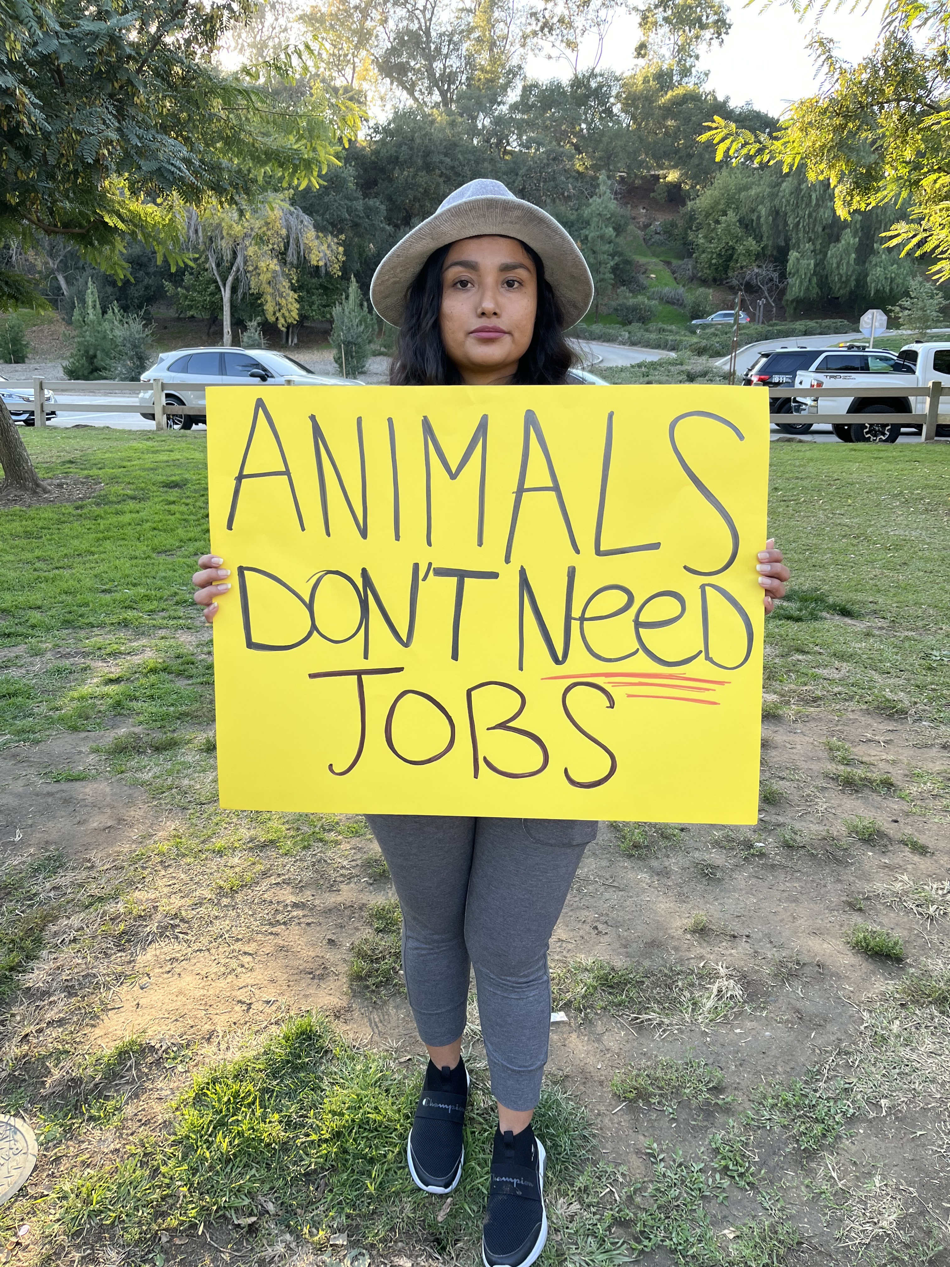 Activists protest Griffith Park Pony Rides on the attraction's final weekend - Vimarsana News