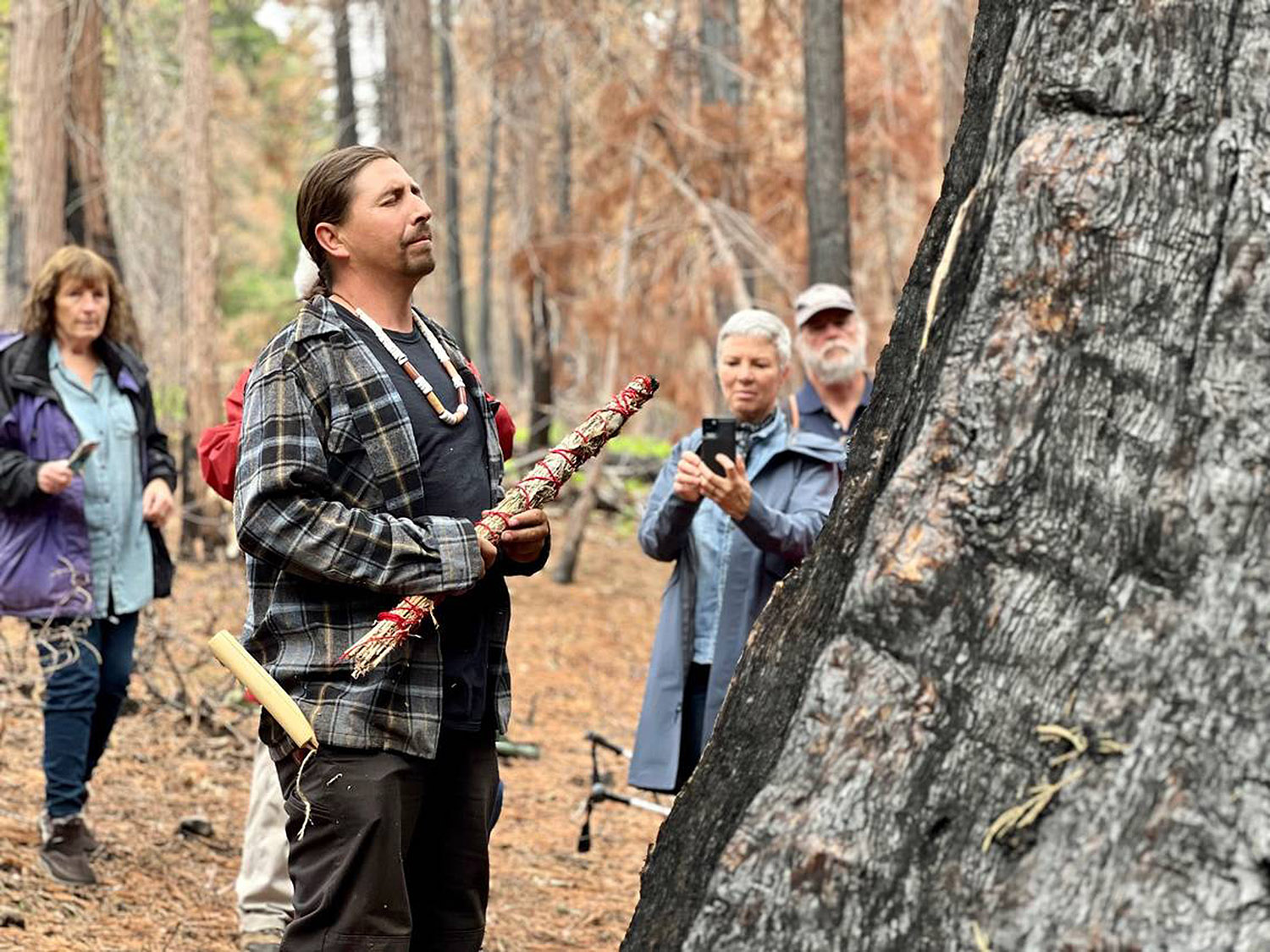 Anger builds after controlled burn damages sequoias - Vimarsana News