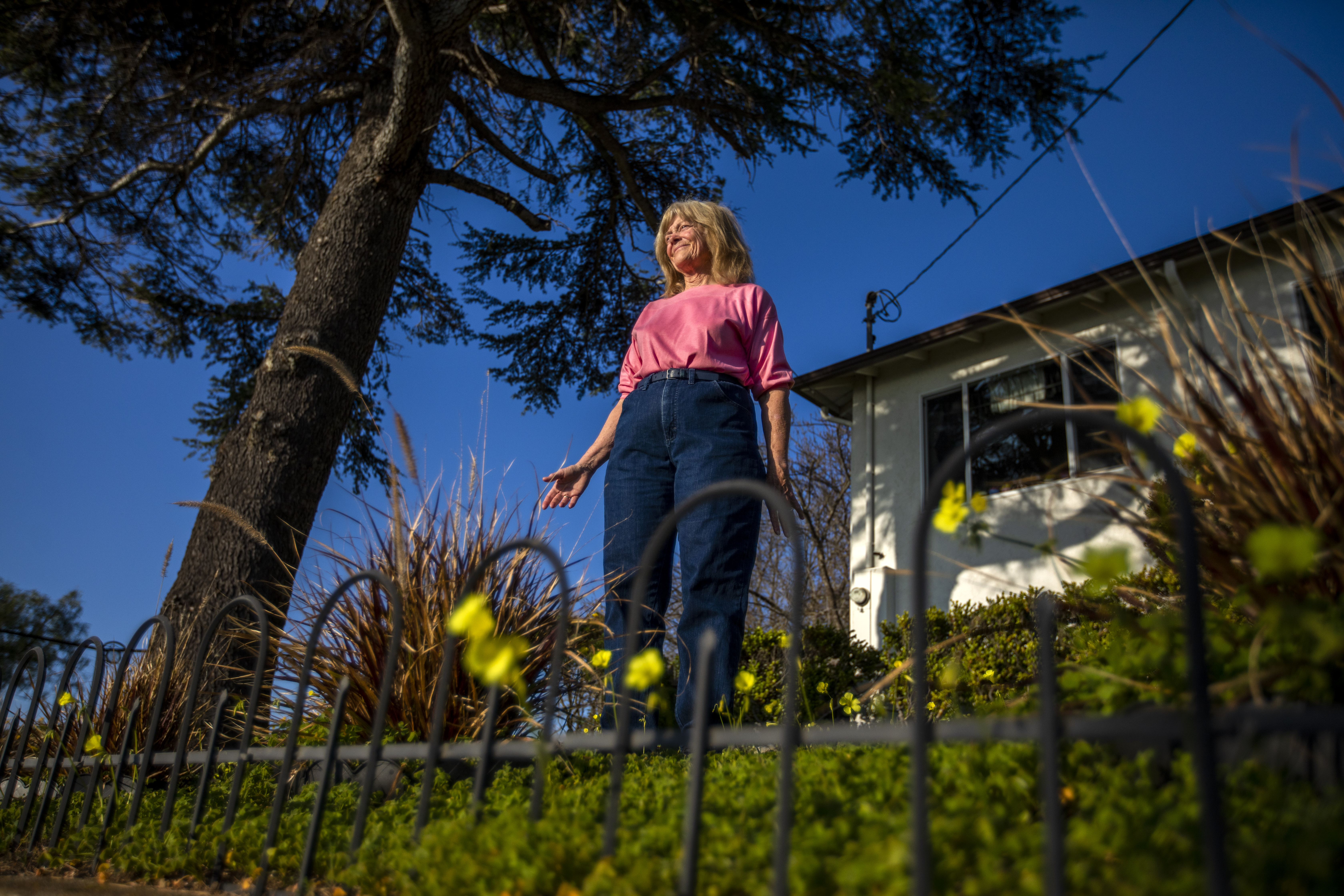 Even freeways that don't get built leave a scar. How one Bay Area city is healing - Vimarsana News