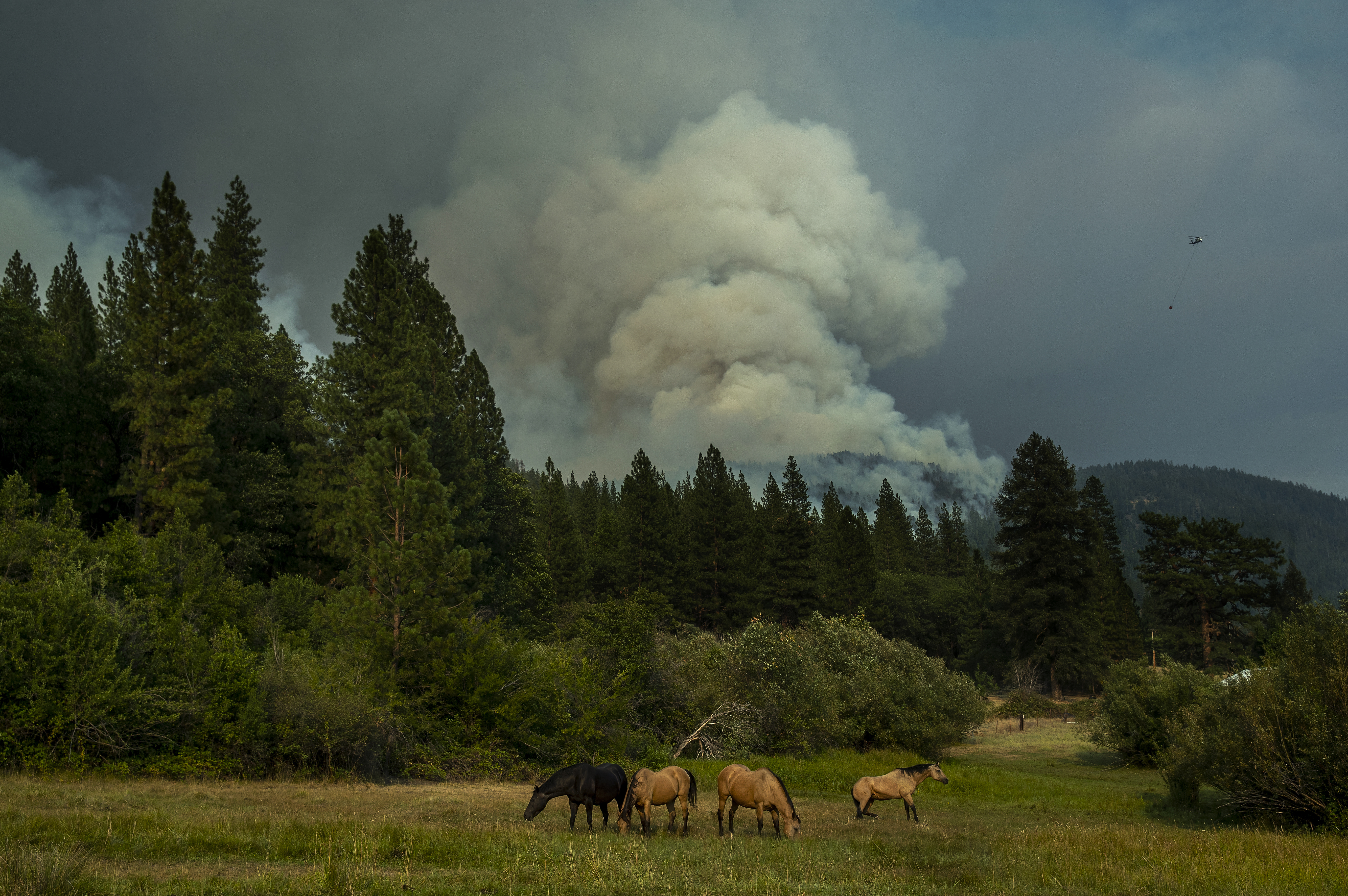 Today's Headlines: Democrats propose funding a massive shift in the war on wildfires - Vimarsana News