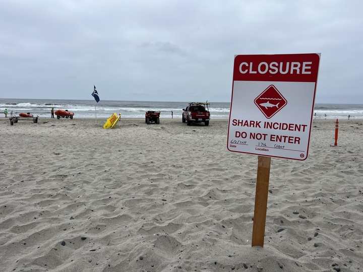 Swimmer suffers 'significant' injury in shark attack in Del Mar - The San Diego Union-Tribune - Vimarsana News
