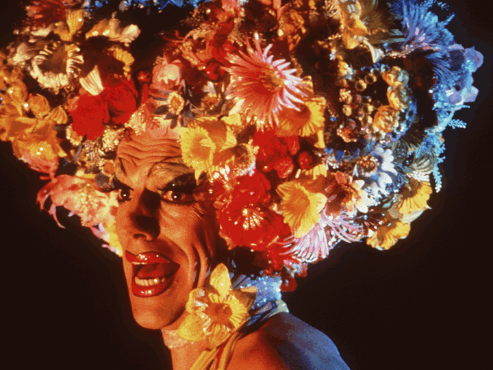 Things to do, movies in LA, OC: 'Star Wars,' LGBTQ, Prince - Vimarsana News