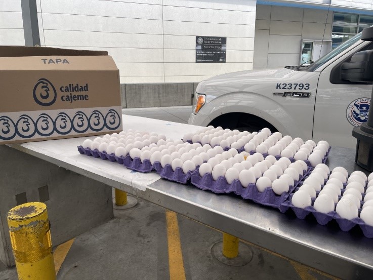 Don't smuggle eggs across the border — it could result in a hefty fine, border officials say - Vimarsana News
