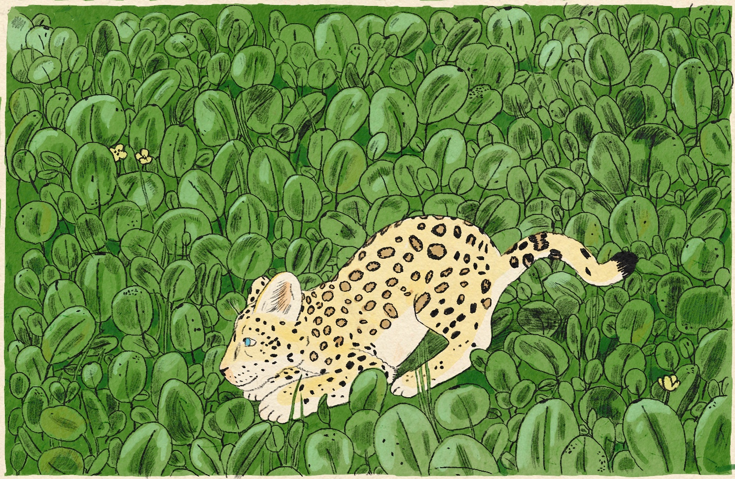 3 Good Things: A jaguar comeback, Ukraine grain and propaganda-proofing - Vimarsana News