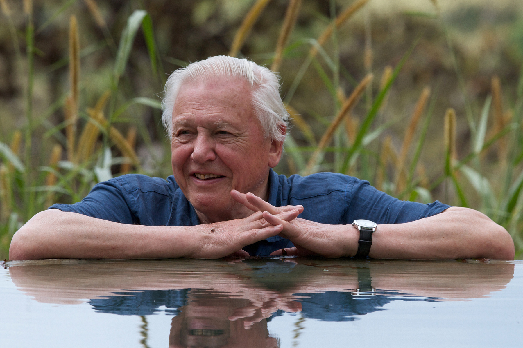 What's on TV Saturday: 'Attenborough's Global Adventure' - Vimarsana News