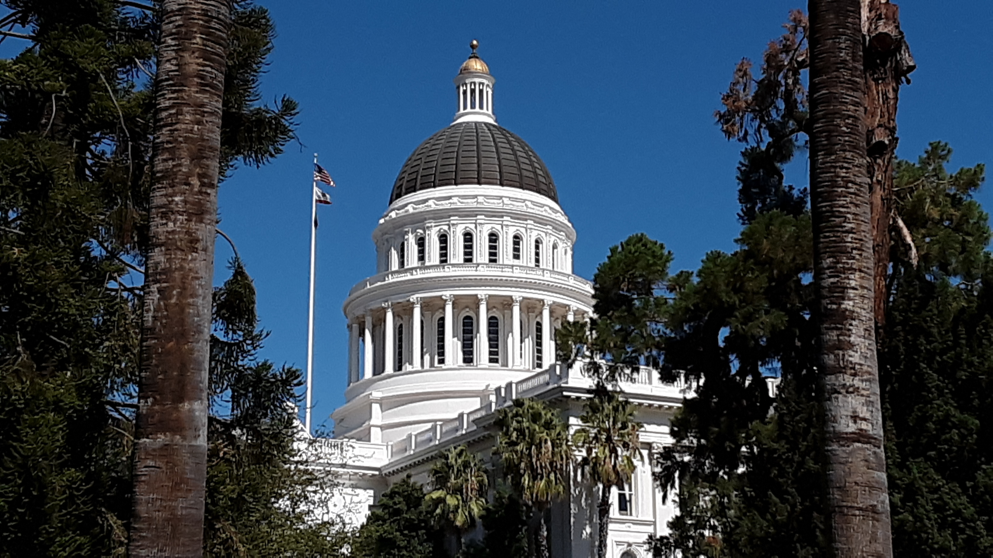 Michael Smolens: Battles emerge over putting right to housing and quality education in state constitution - Vimarsana News