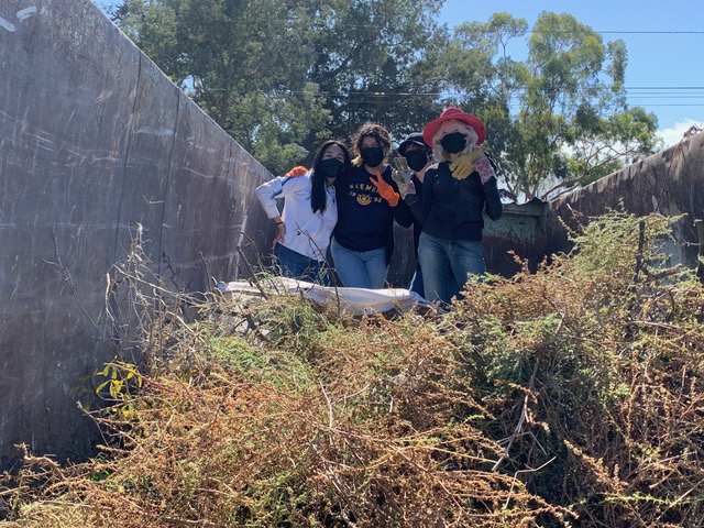 La Jolla News Nuggets: Bike path cleanup, Open Aire Market, Parks & Beaches president, vaccine lawsuit, more - Vimarsana News