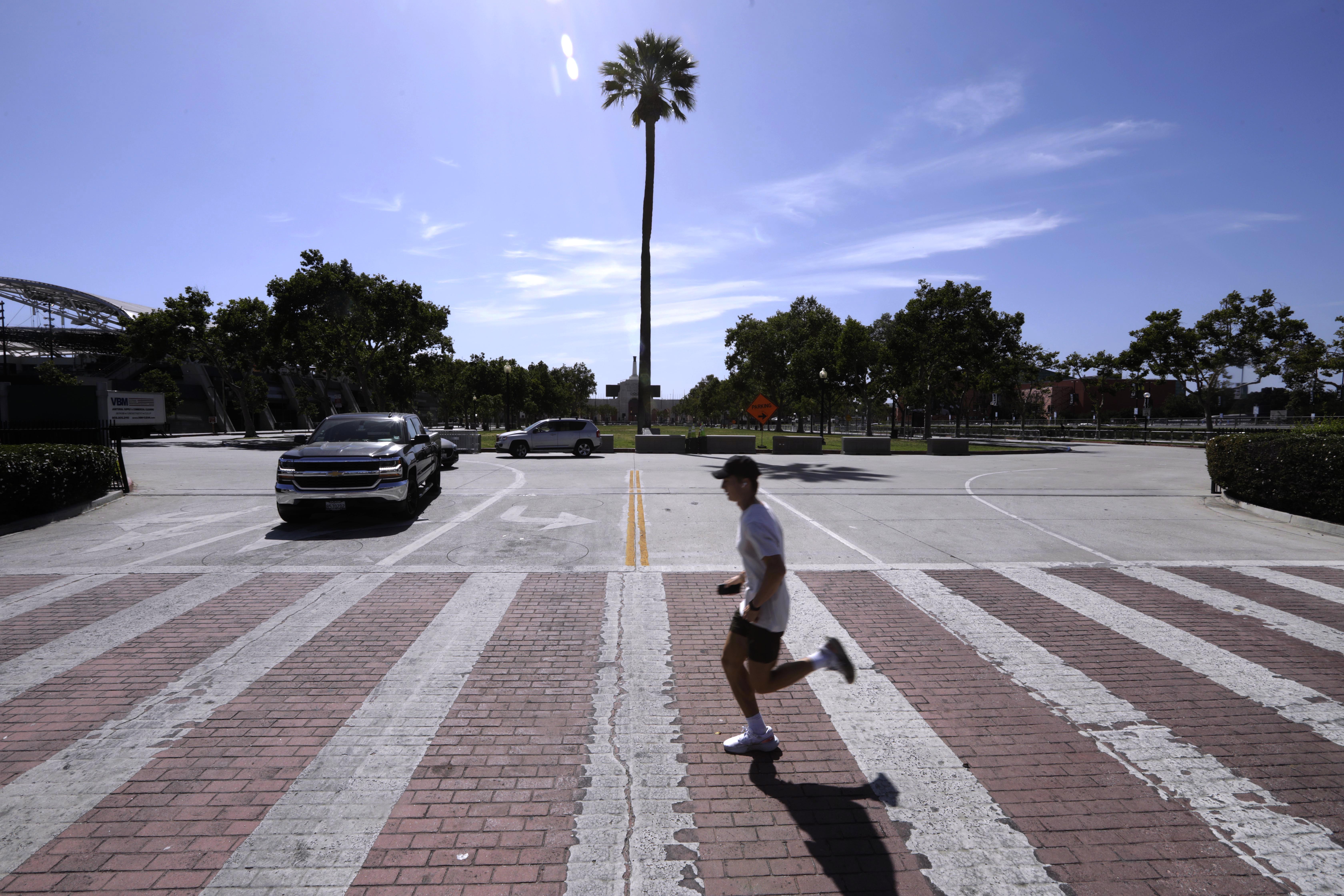 Column: Heed the warnings of this palm tree, a 200-year-old drought survivor - Vimarsana News