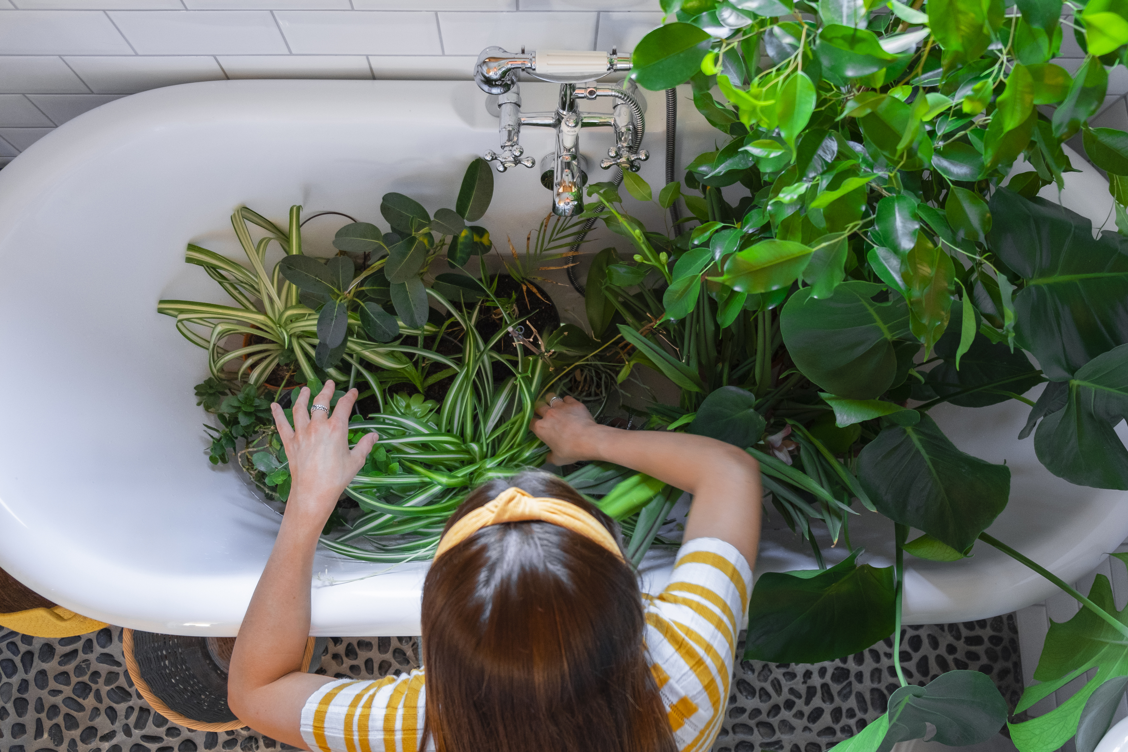 Good cleanup in January starts the year on a healthy note - The San Diego Union-Tribune - Vimarsana News