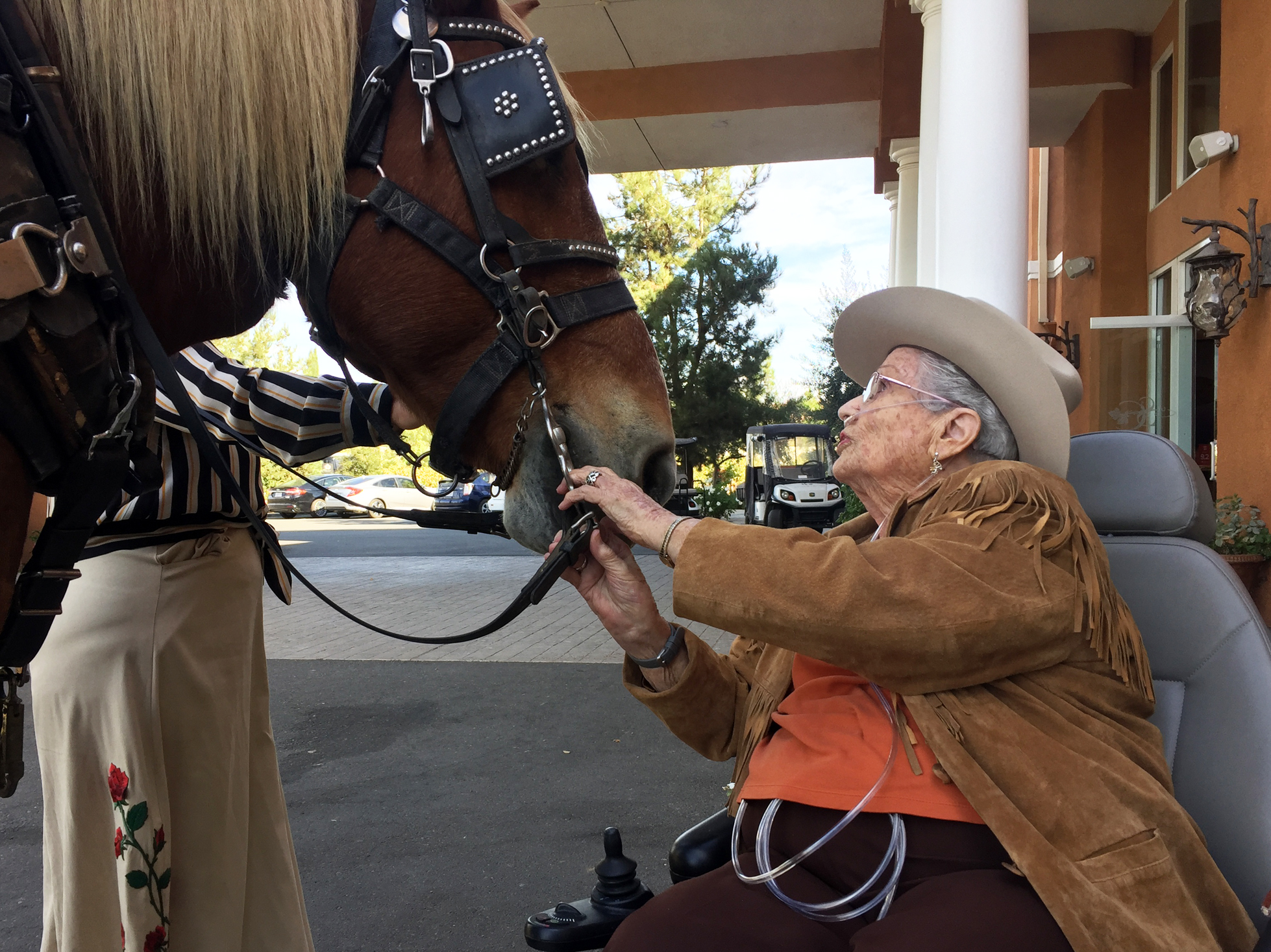 Cowgirl, 95, gets bucket-list wish for one last horse ride - Vimarsana News