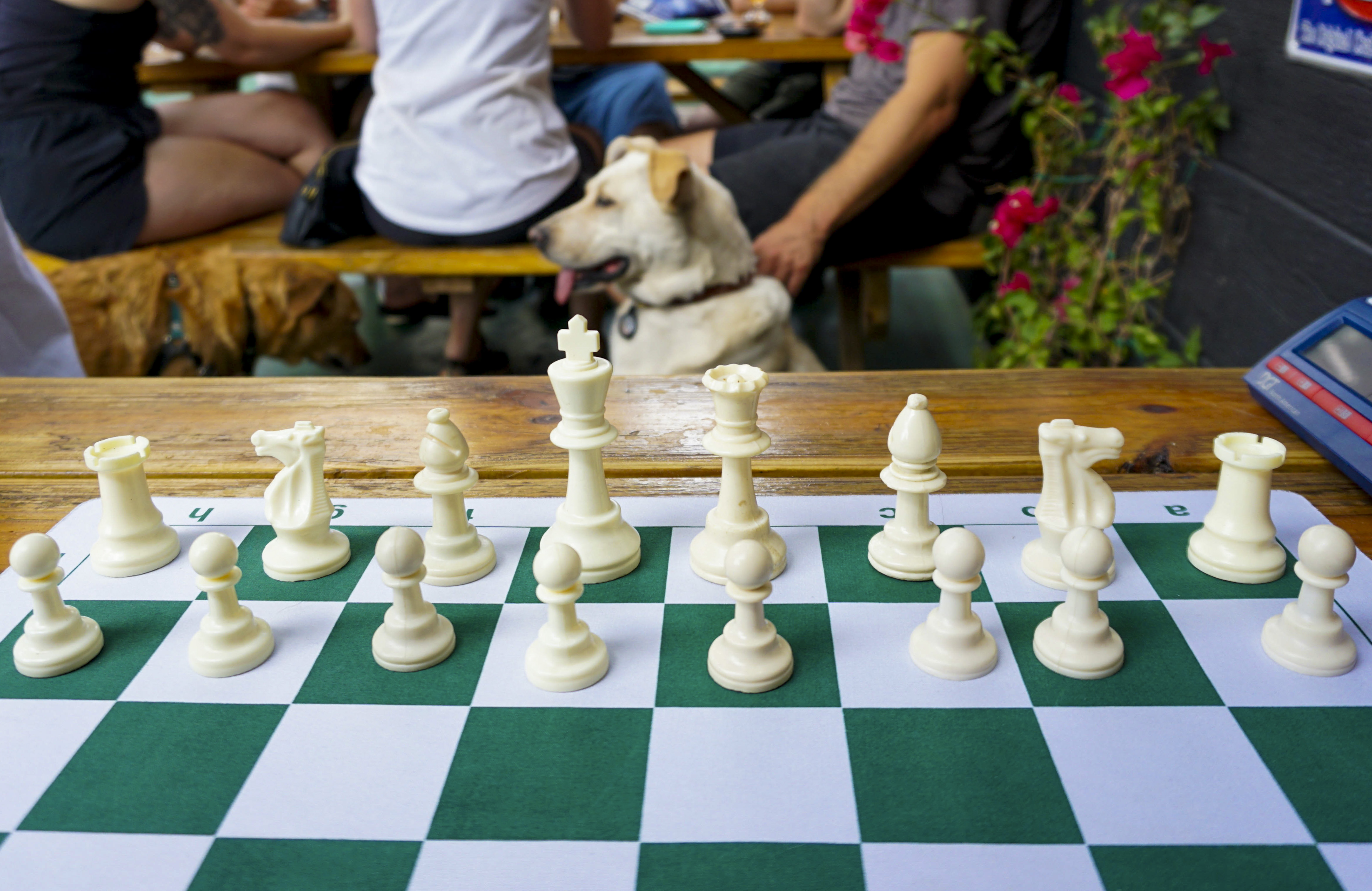 A top expert on chess cheating explains how AI has transformed human play - Vimarsana News