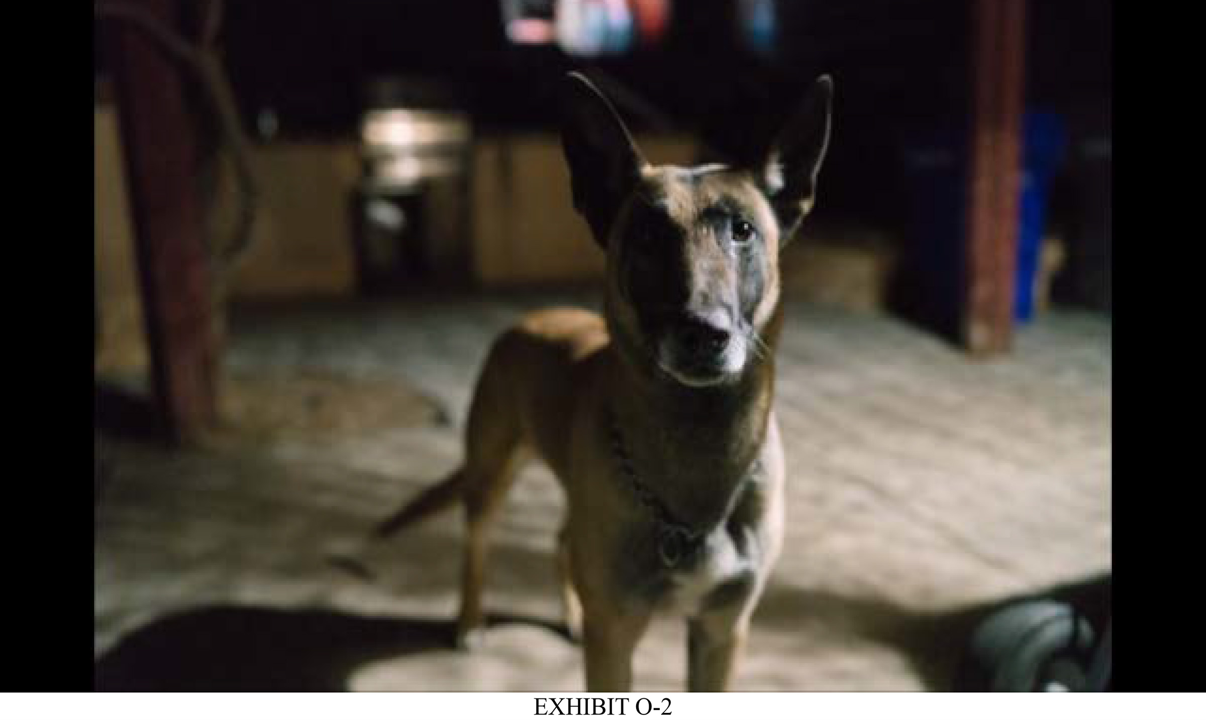 Jury awards man $5 million in Fallbrook sheriff's dog bite case in which county withheld evidence - Vimarsana News