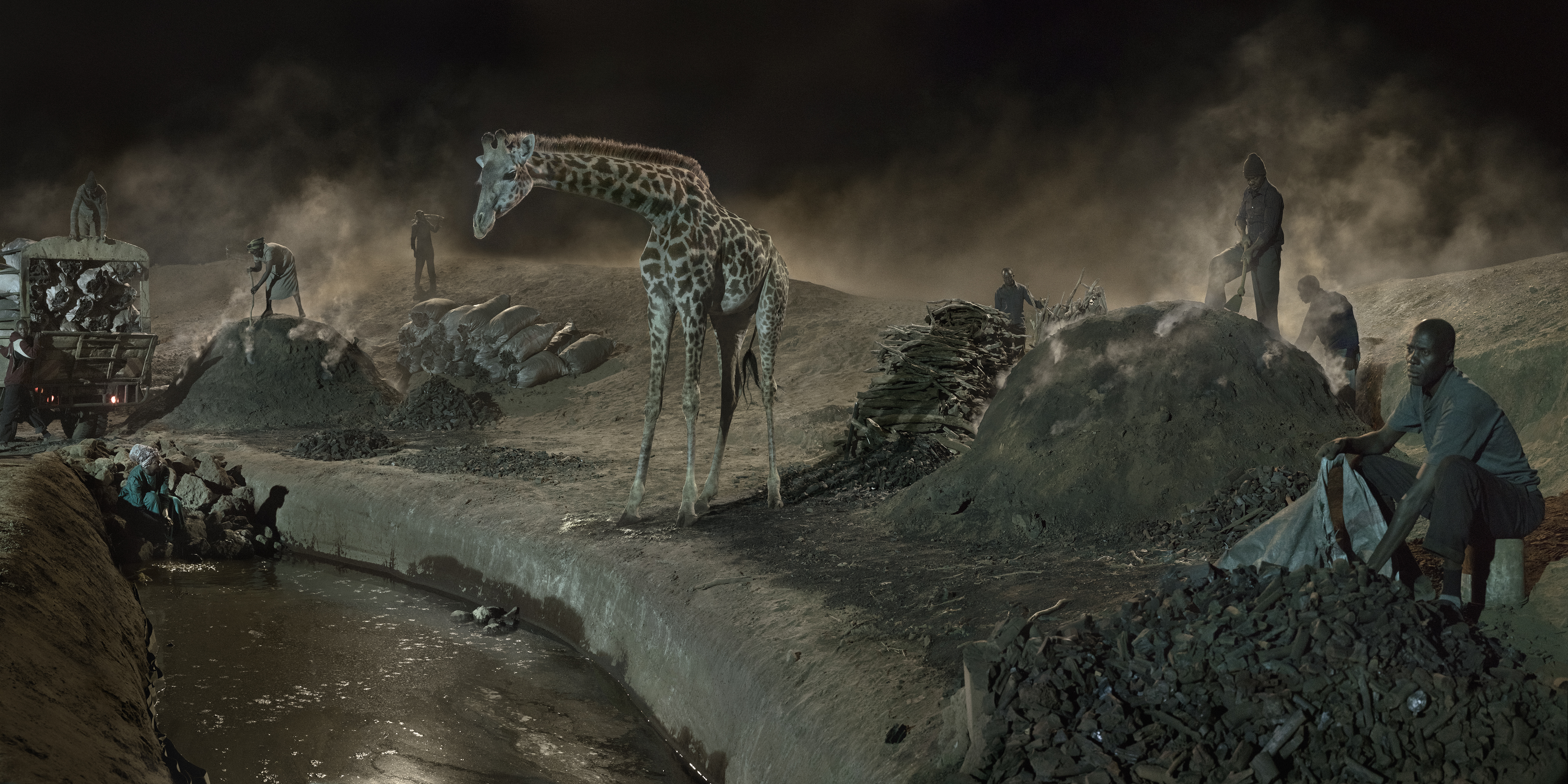 In 'This Empty World,' Nick Brandt's lens focus on planet's creatures, big and small - Vimarsana News