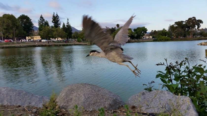 Lindo Lake getting some help from the county - Vimarsana News