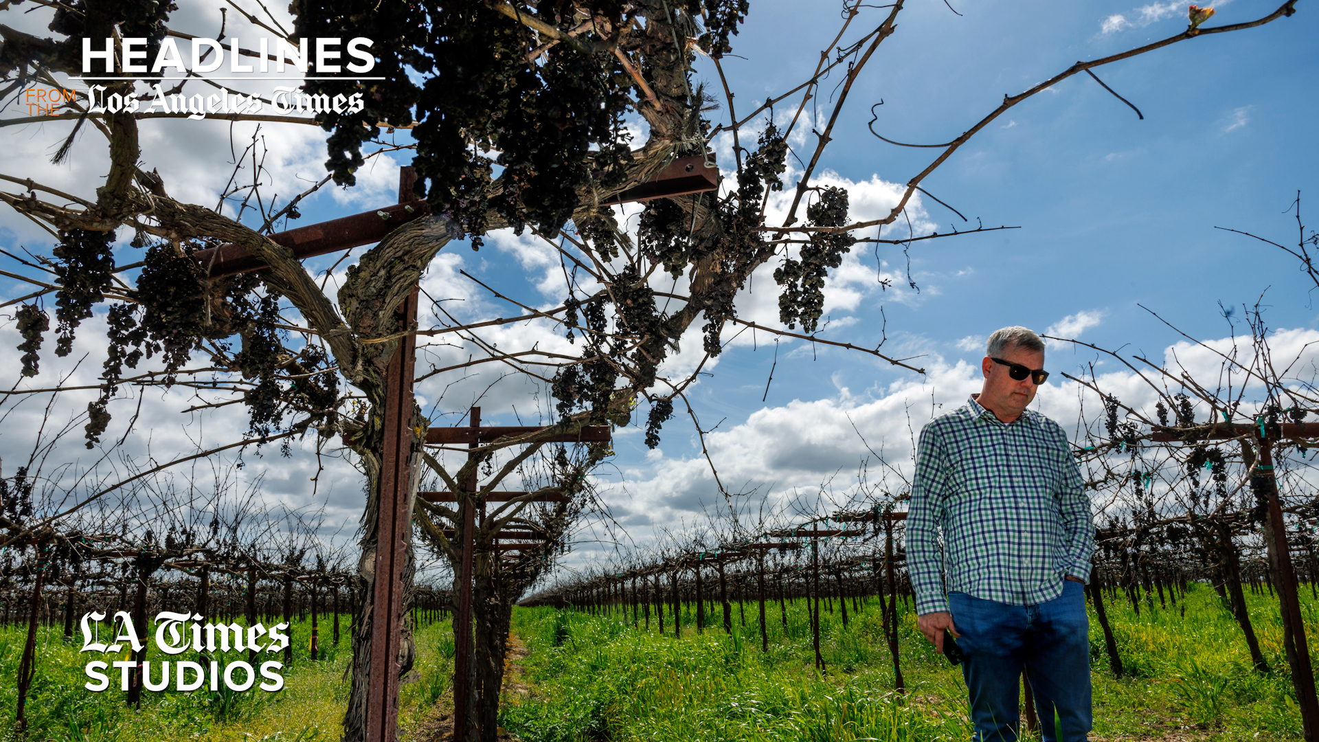 California Wine Industry Faces Severe Decline as Varda Space Expands