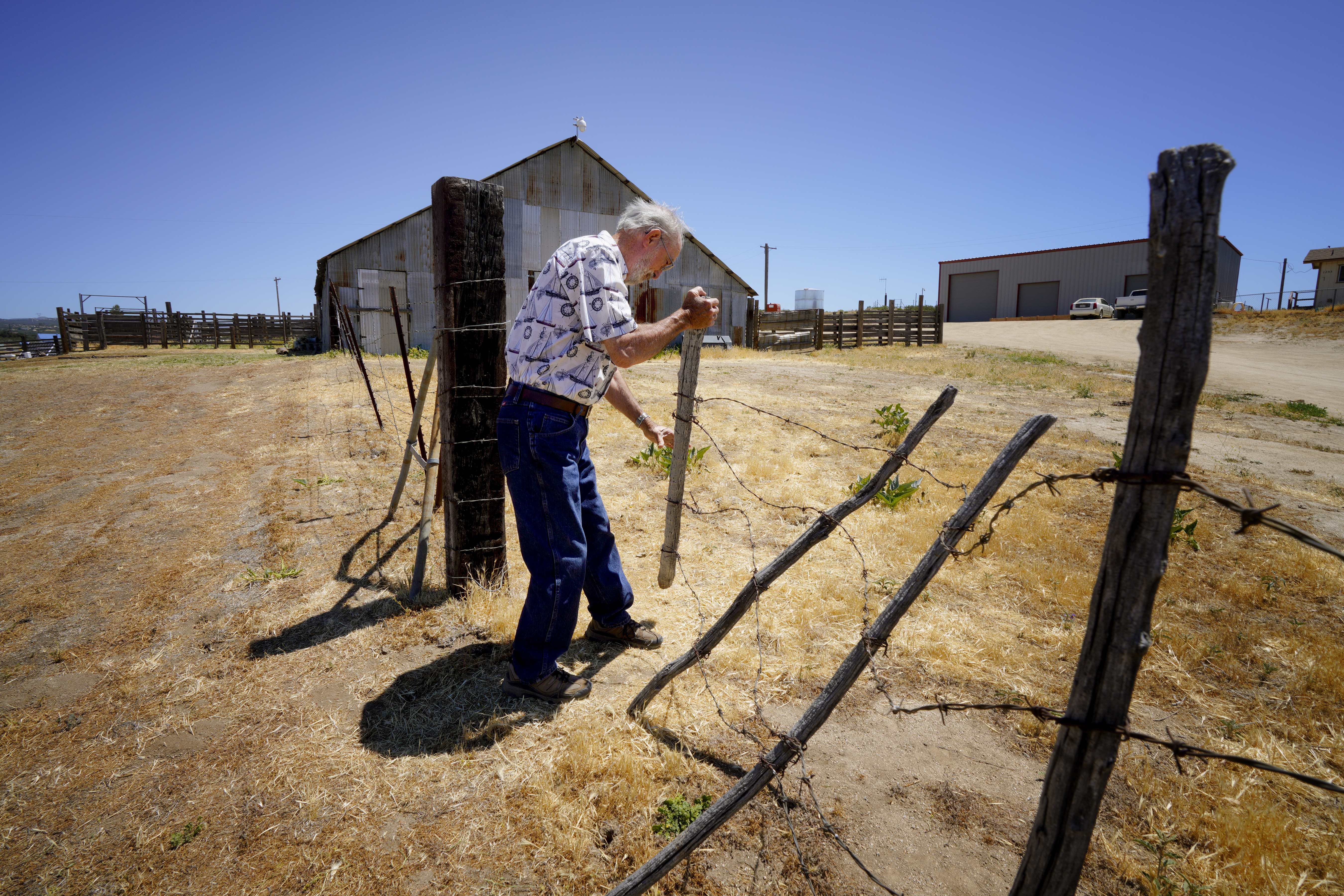 County agricultural conservation program buys time for San Diego's farmlands - Vimarsana News