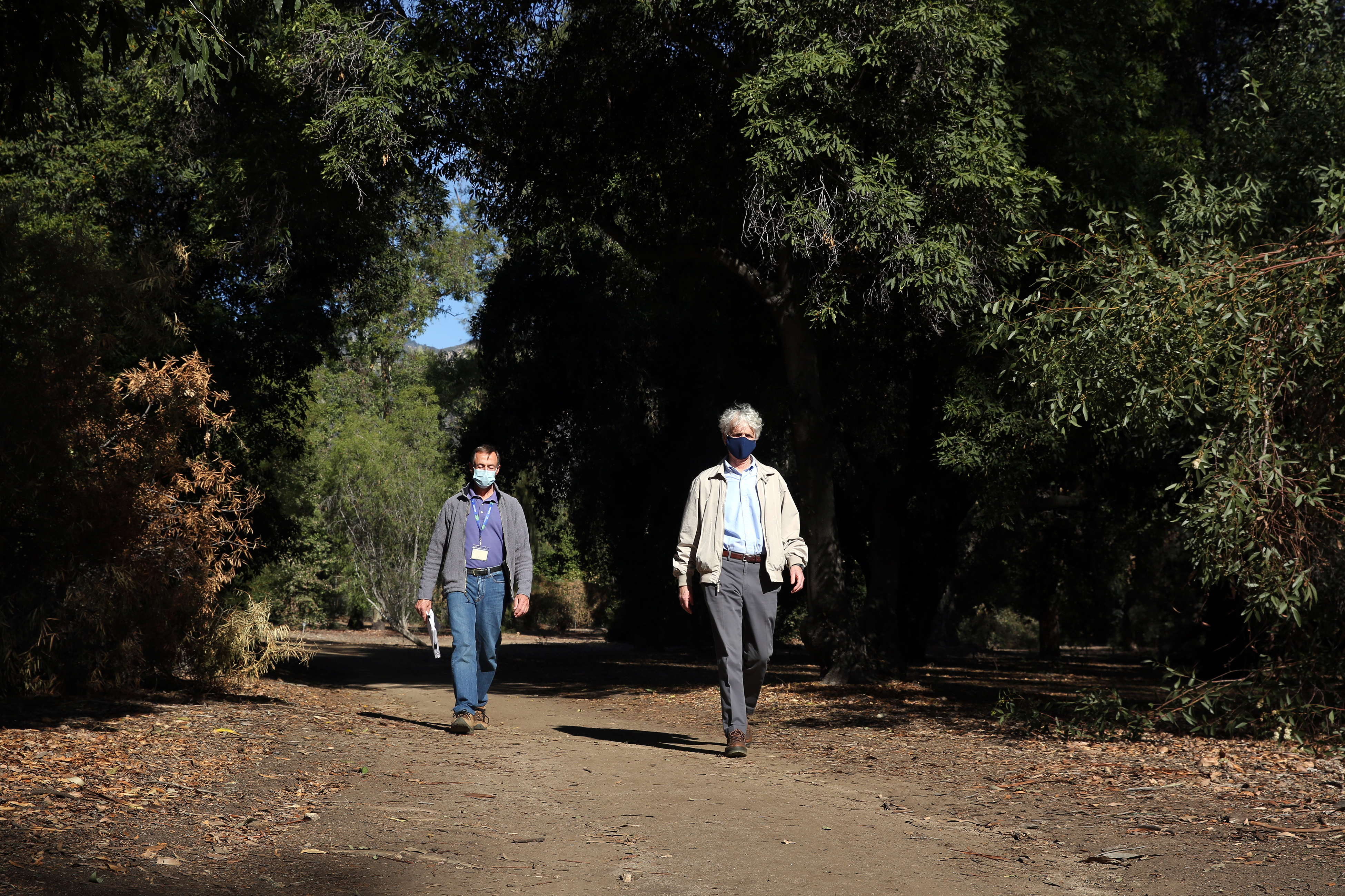 Consortium wants to cut down L.A. County Arboretum trees - Vimarsana News