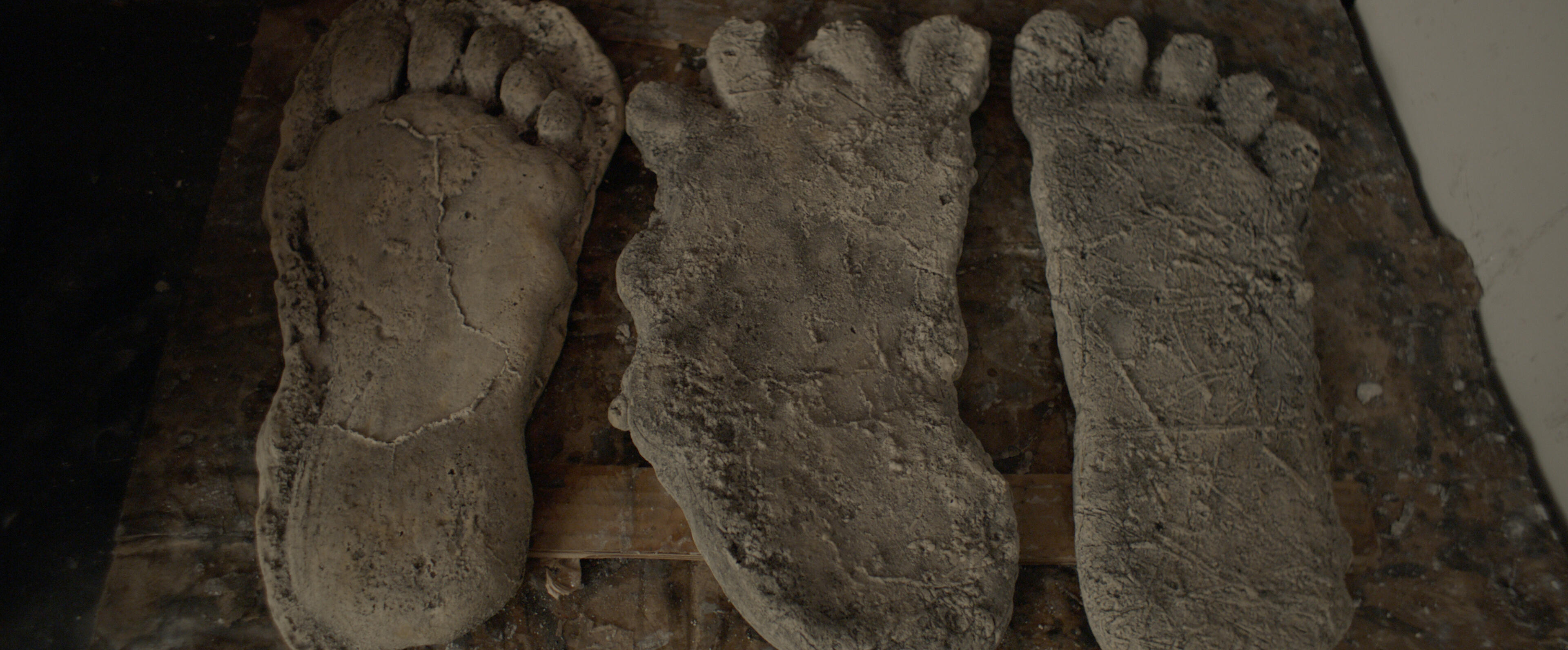 'Sasquatch' on Hulu is the perfect 4/20-friendly TV show - Vimarsana News