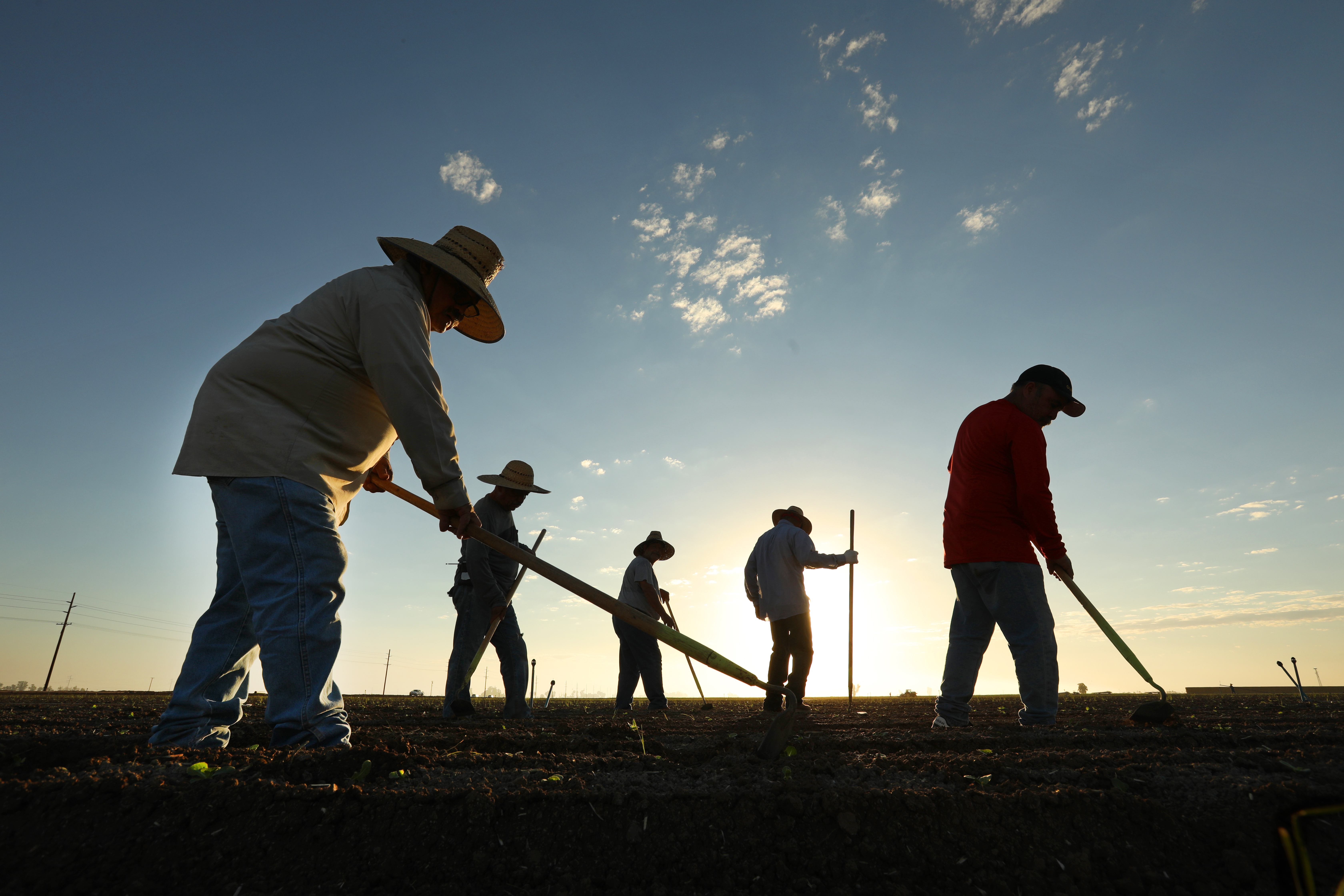 California Imperial Valley farmers see less water in future - Vimarsana News