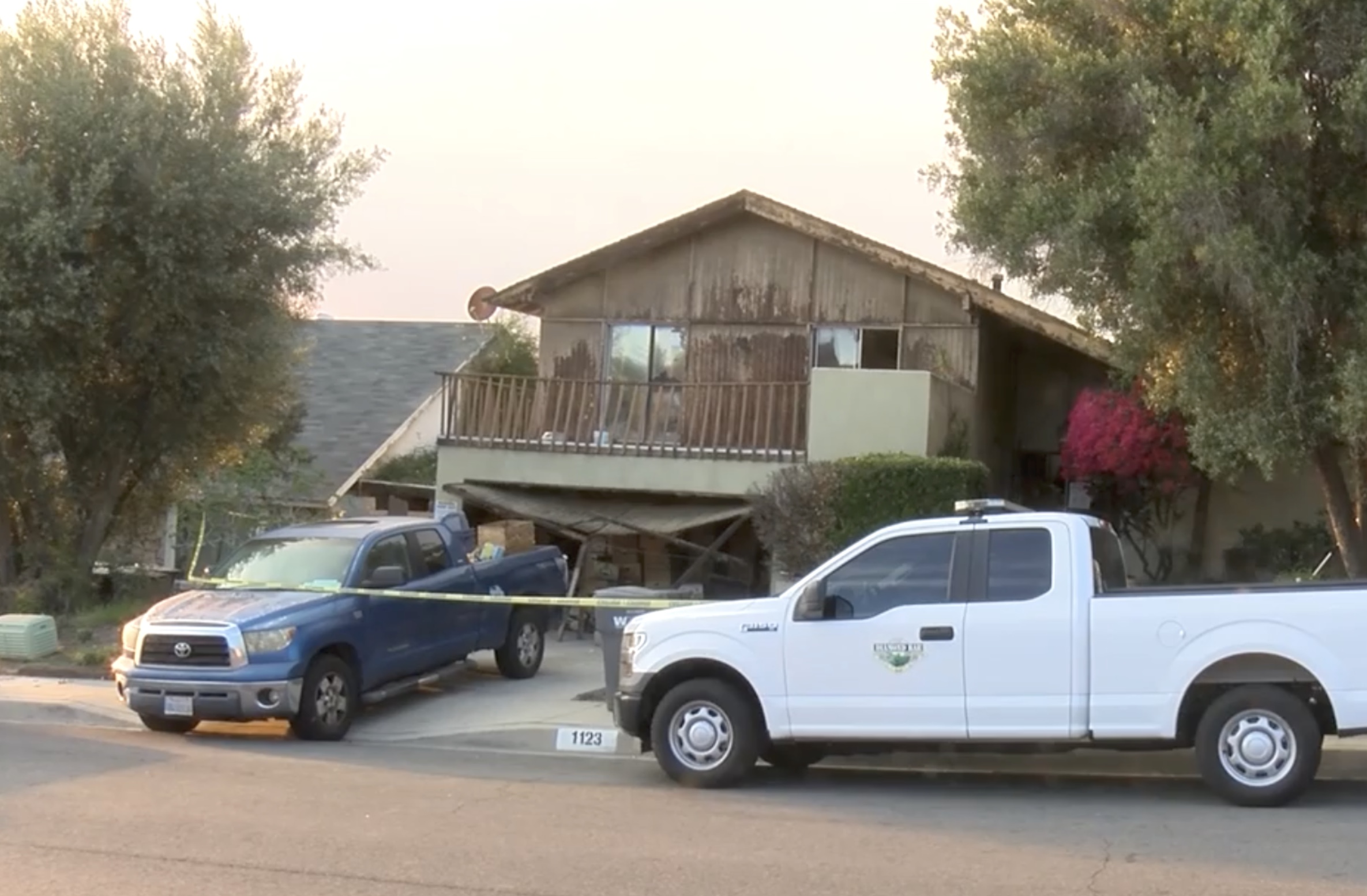 Over 80 animals rescued at L.A. County home after hoarding report - Vimarsana News