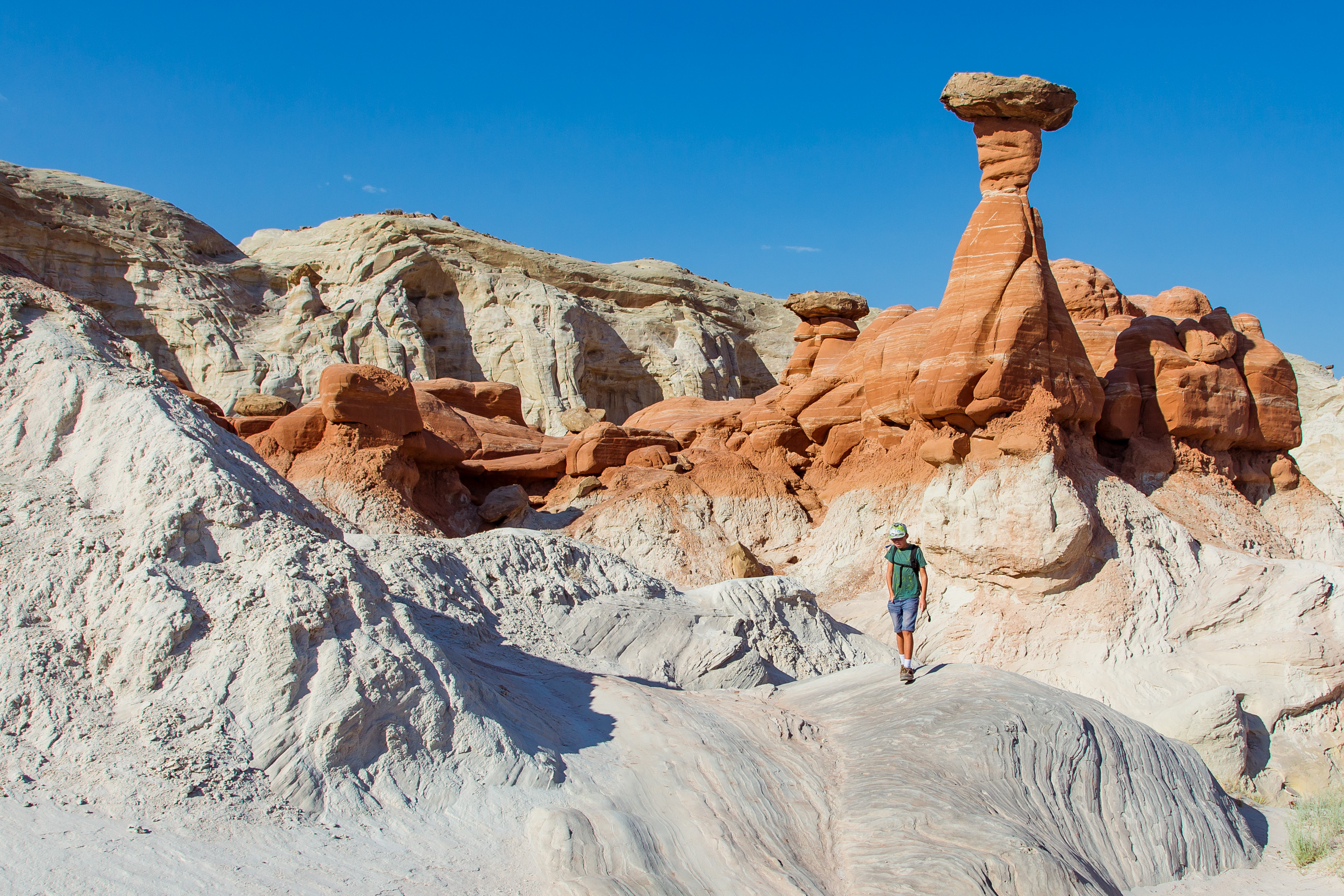 Give crowded Zion park a pass; try Grand Staircase-Escalante - Vimarsana News