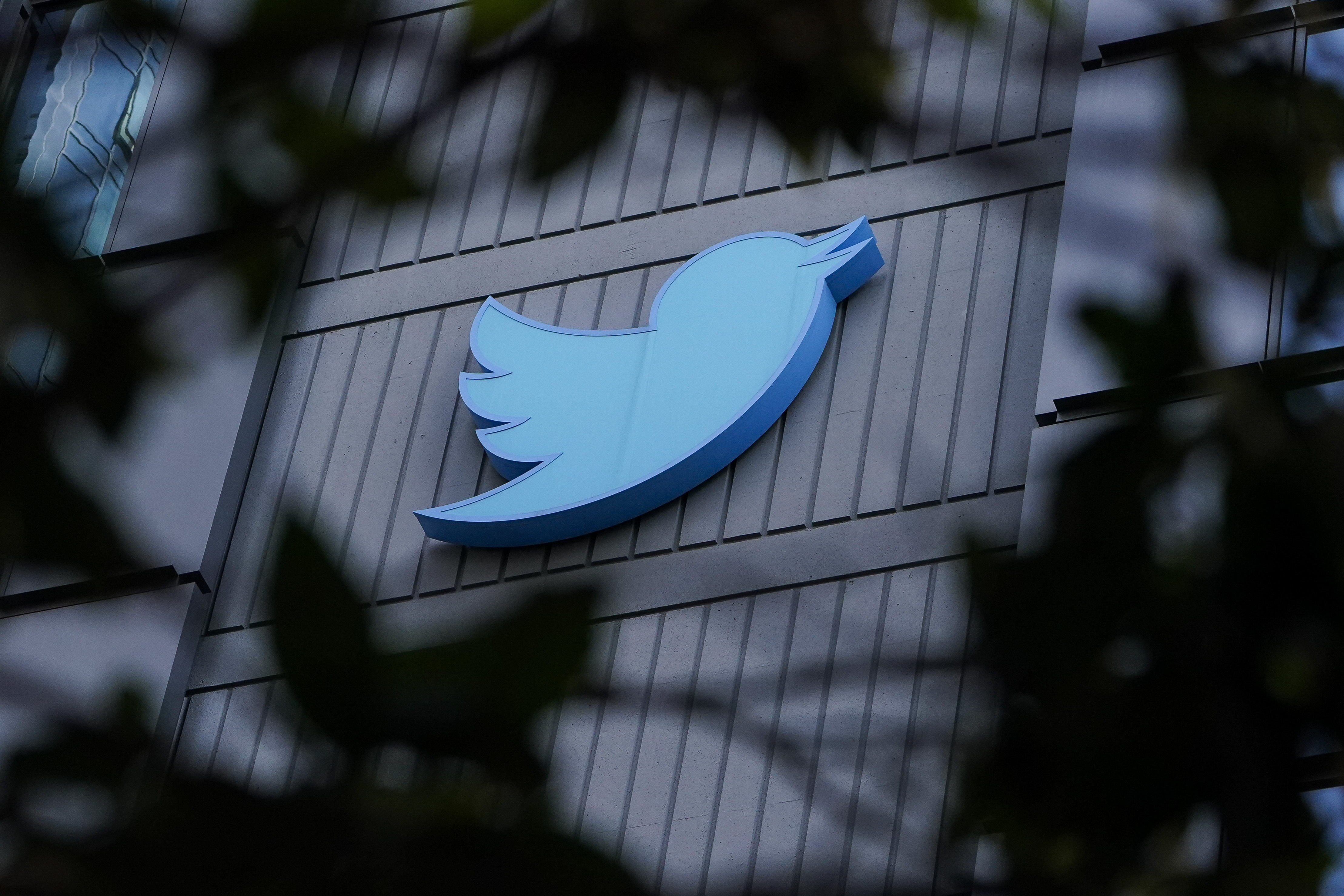 Opinion: Elon Musk's Twitter chaos came calling for me - Vimarsana News