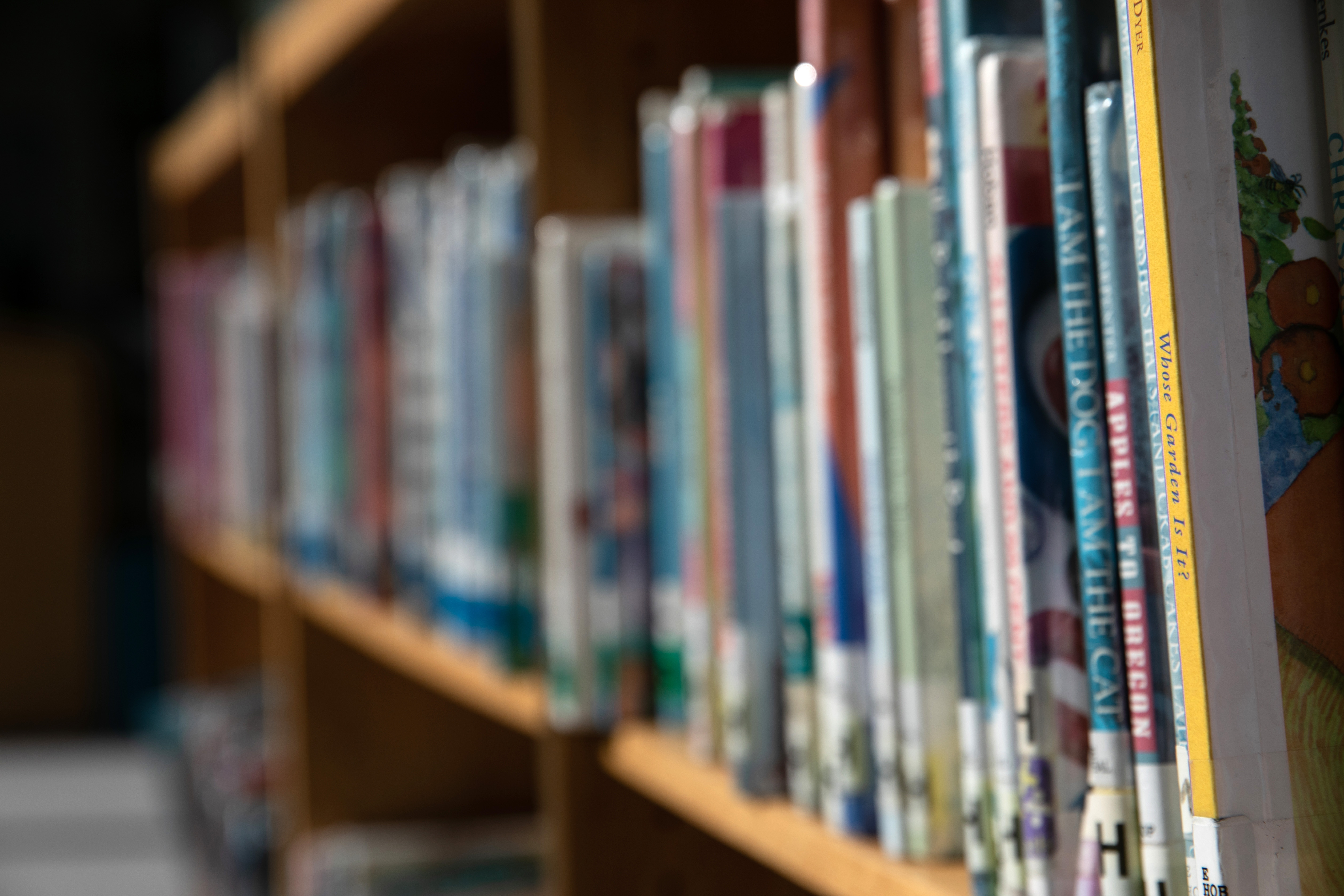 The politics of banning books: What role should governments play? - Vimarsana News