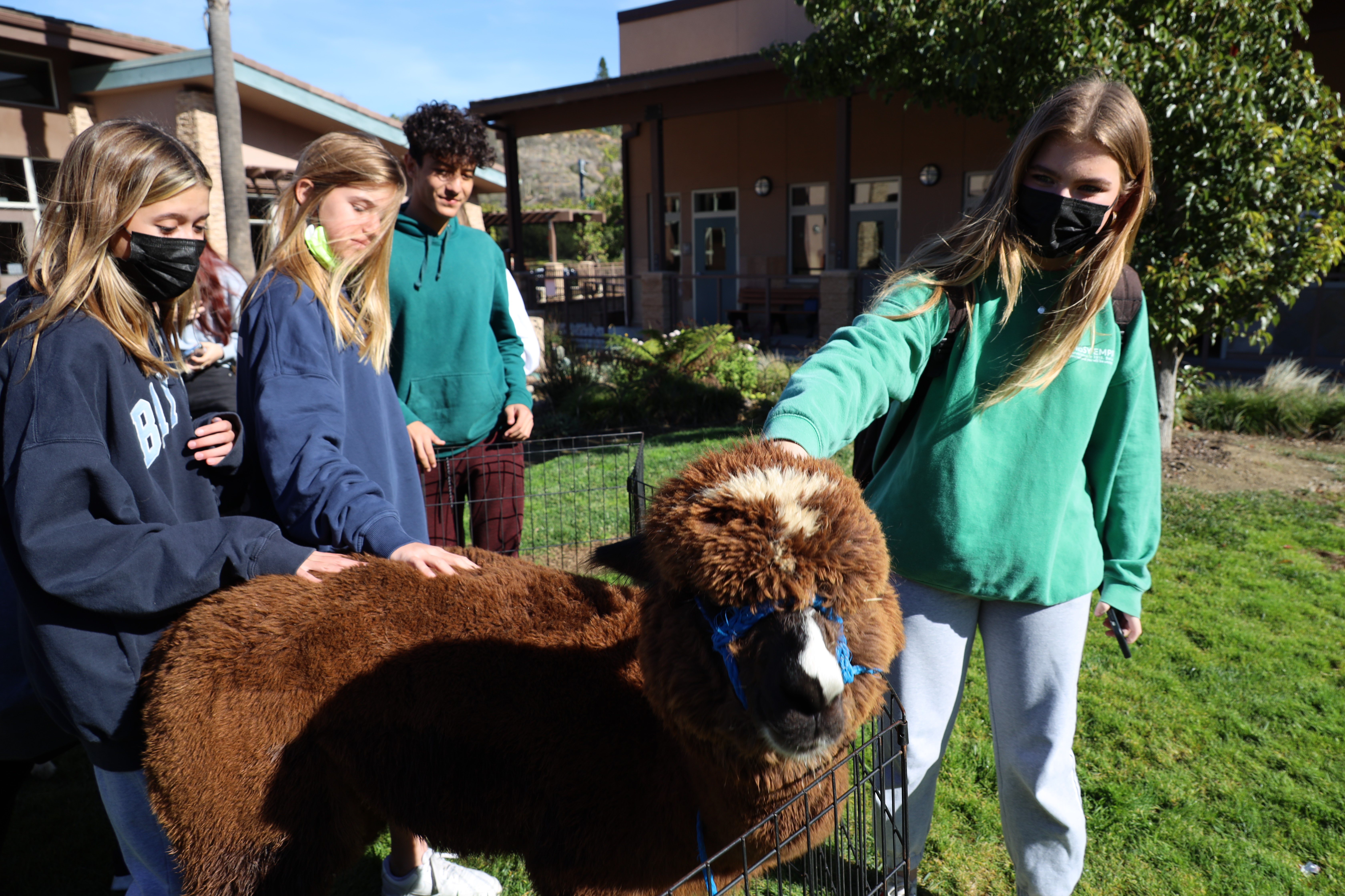 North County School News, Jan. 30 - Vimarsana News