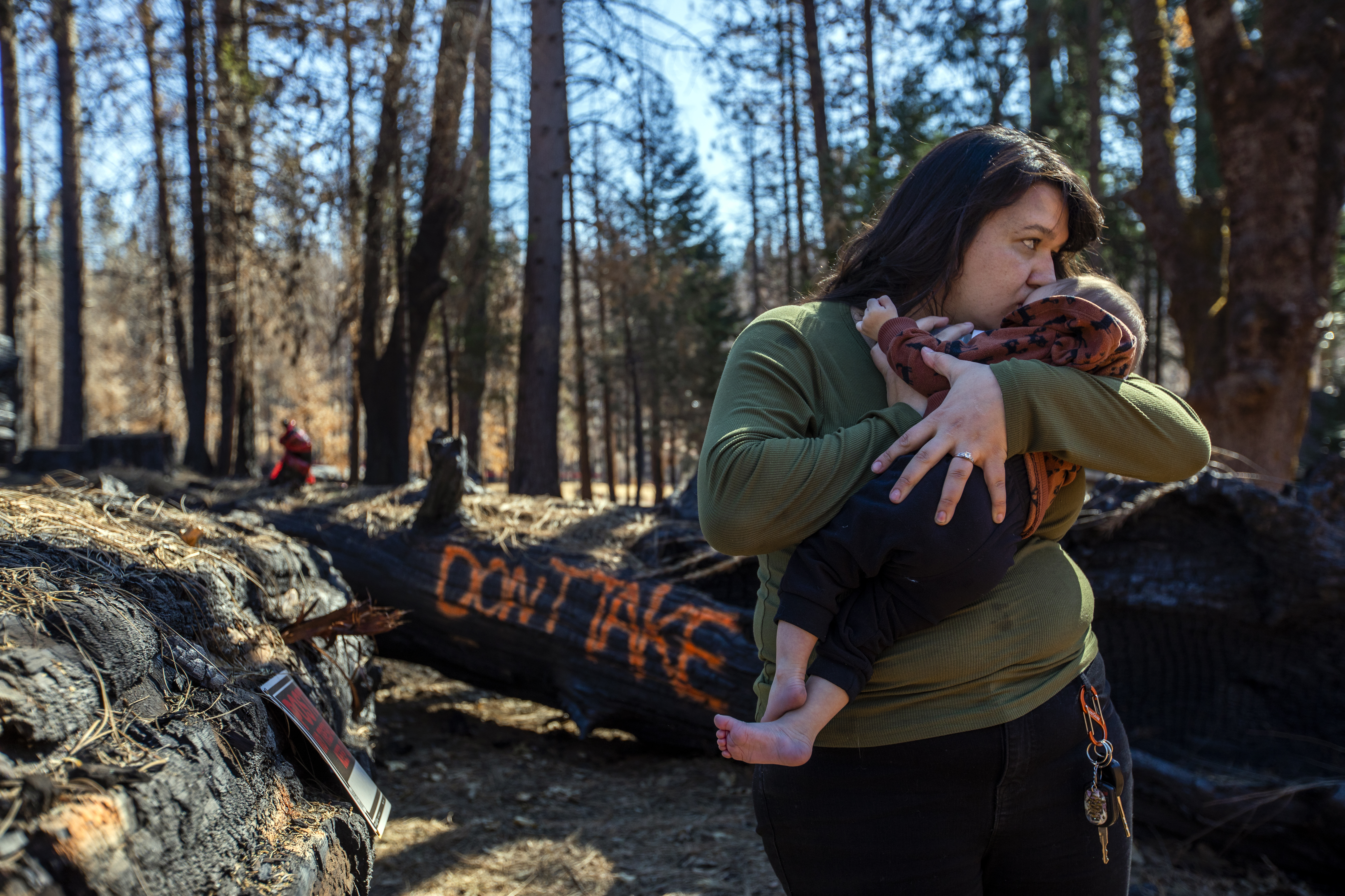Caldor fire survivors say FEMA did little to help those who lost homes - Vimarsana News