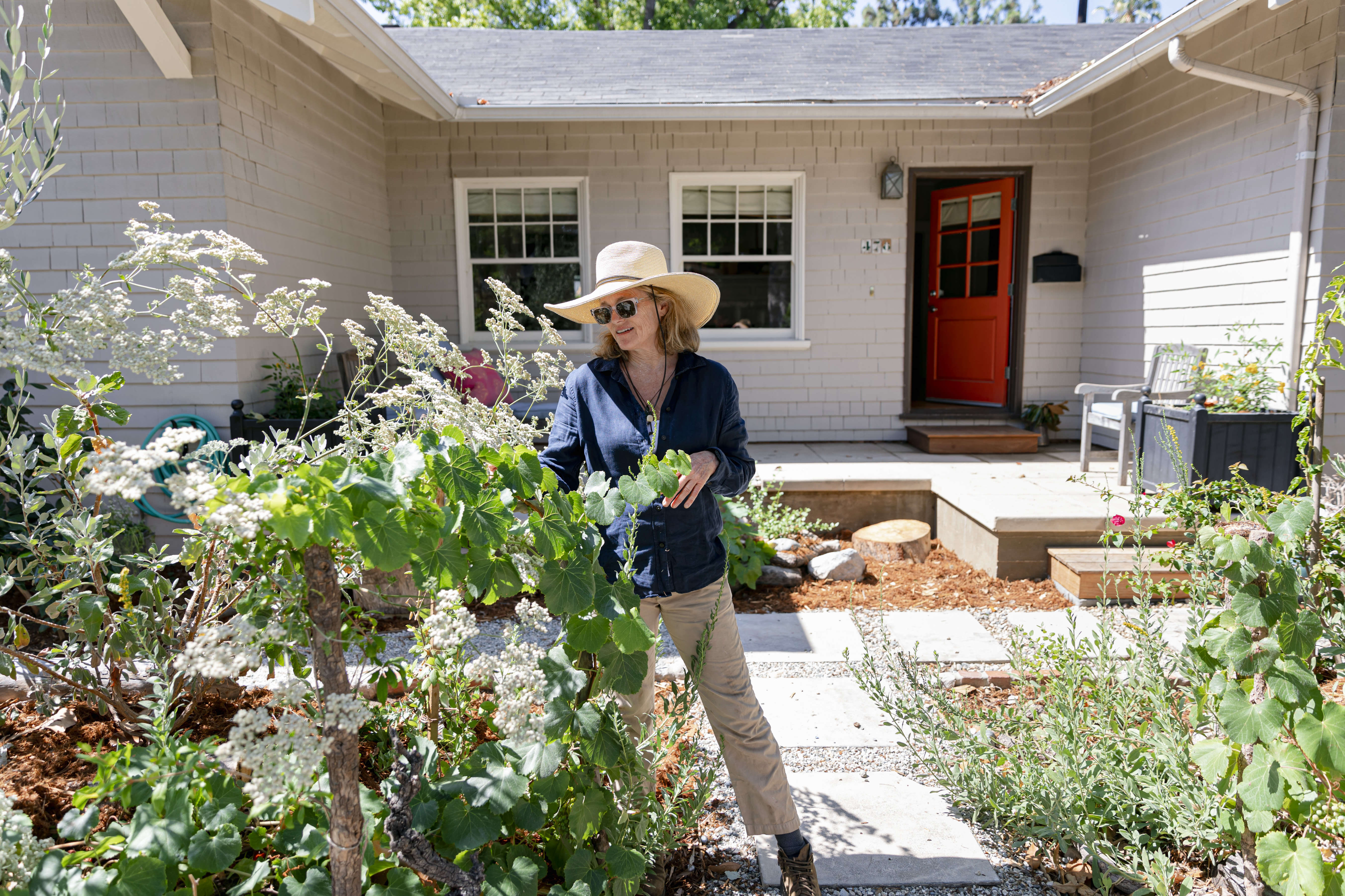Water-saving hugels add privacy to drought-tolerant landscape - Vimarsana News