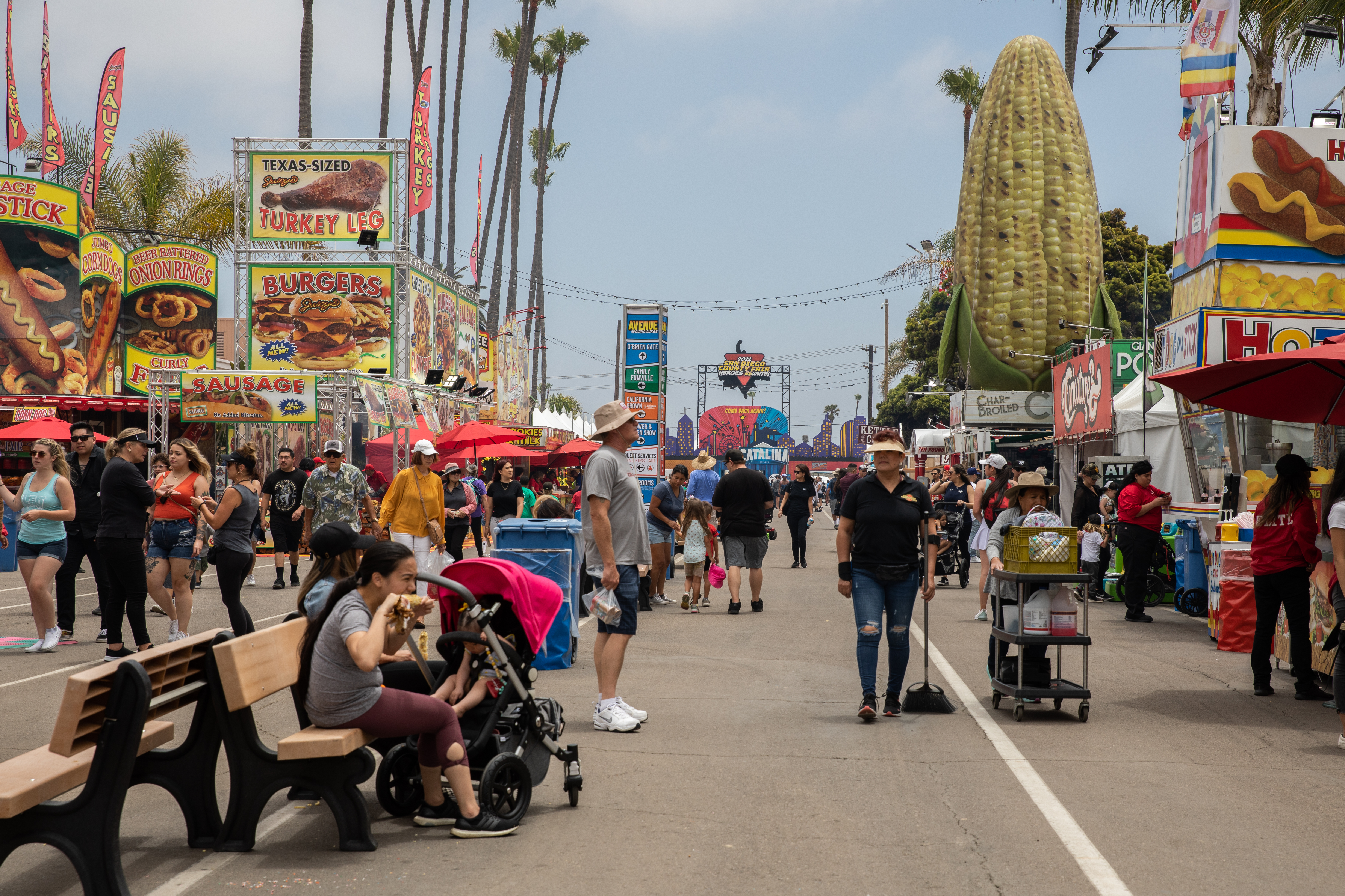Board unveils San Diego County Fair themes for 2025-26 - Vimarsana News