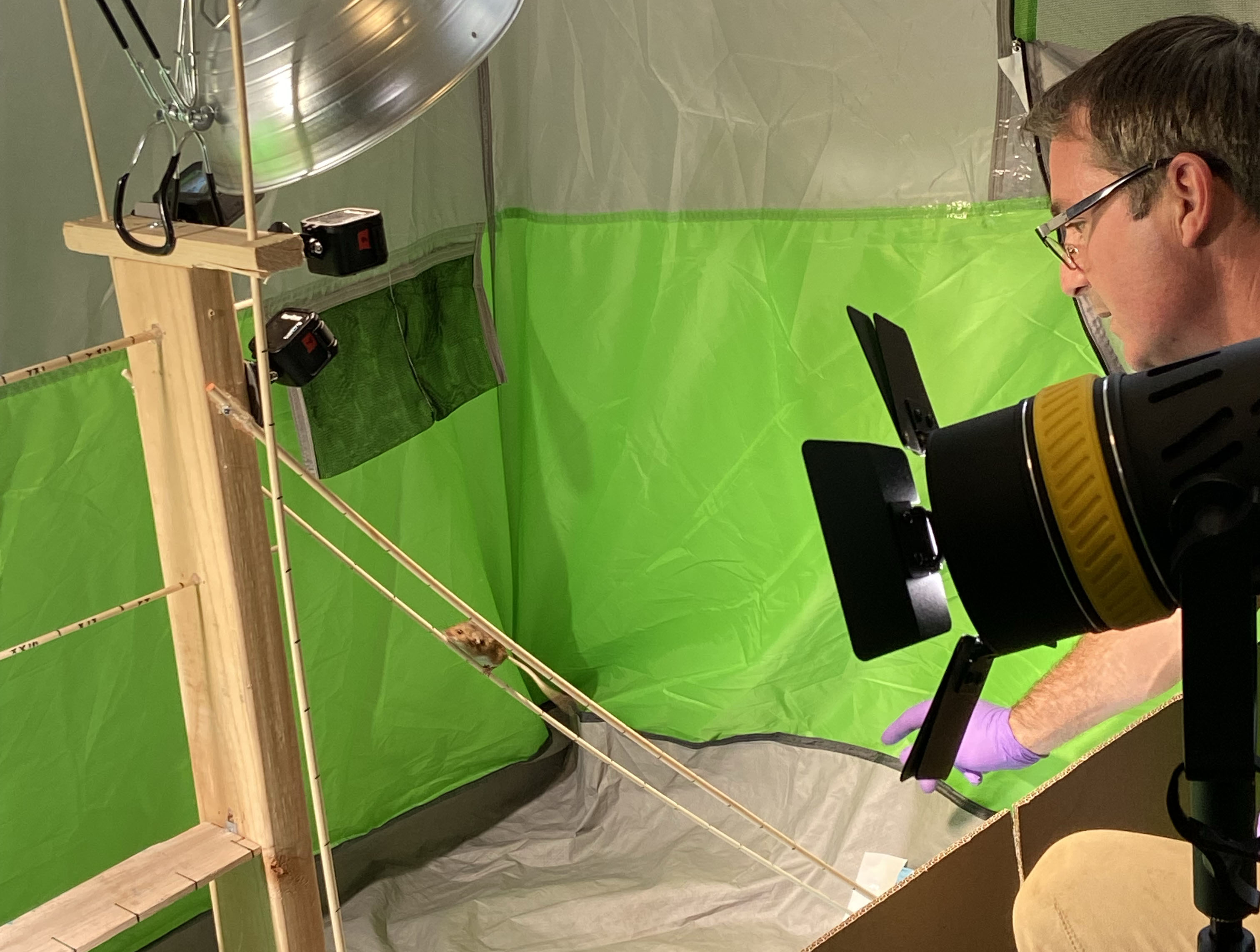 CSUSM biology professor wins prestigious $500K research grant - Vimarsana News
