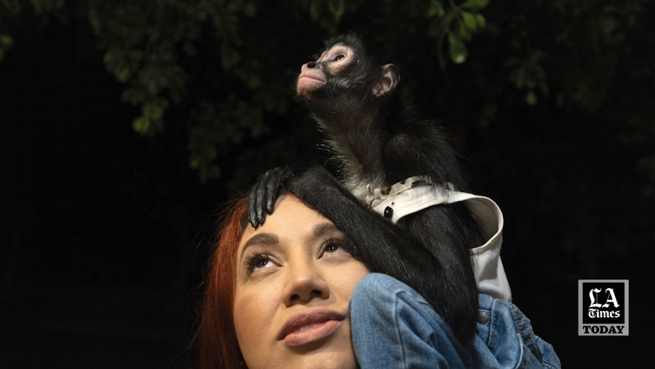 LA Times Today: Inside the world of the ultra-wealthy Mexicans who own exotic animals - Vimarsana News