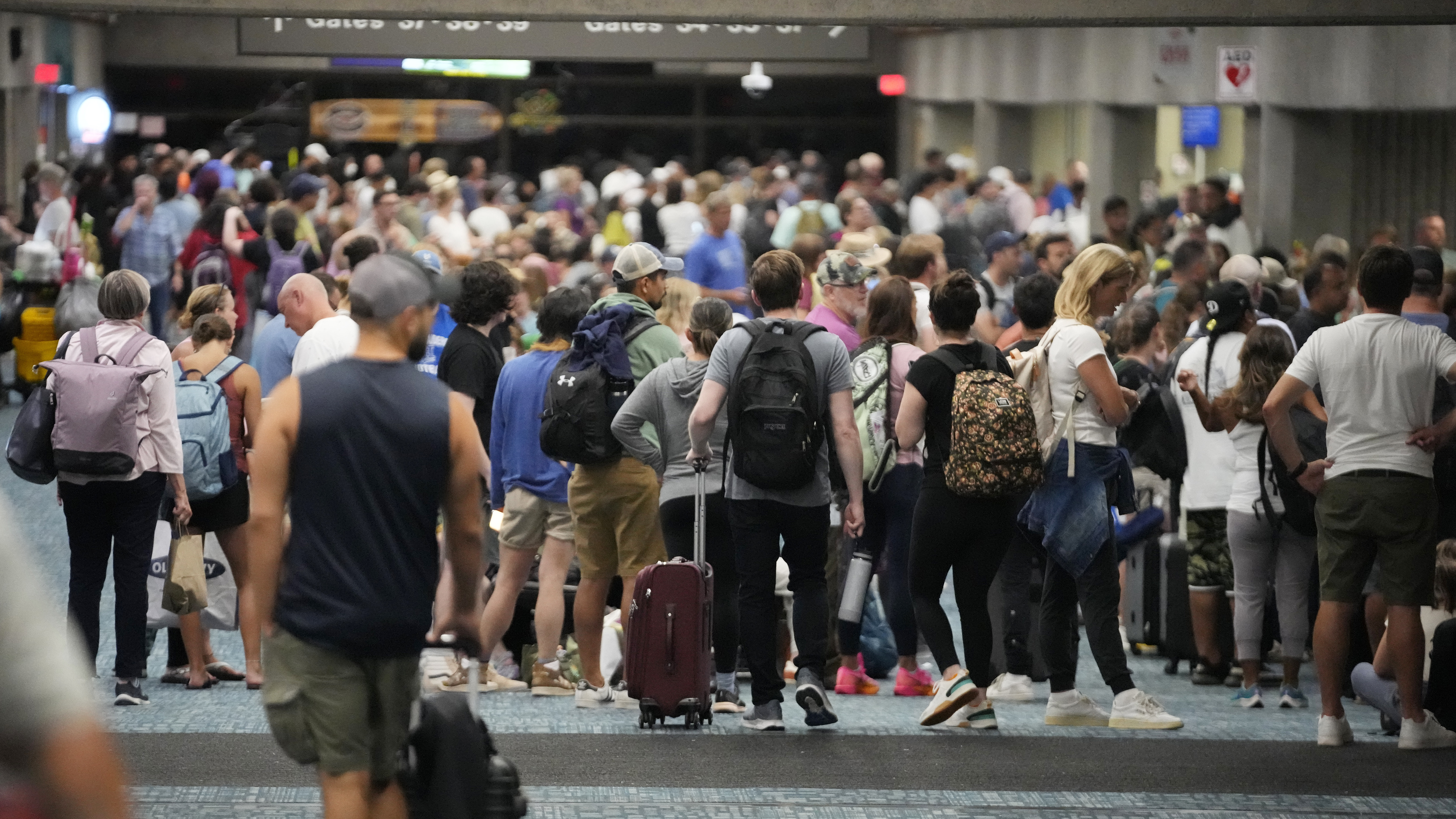 How to adjust your travel plans for Hawaii during the wildfires - Vimarsana News