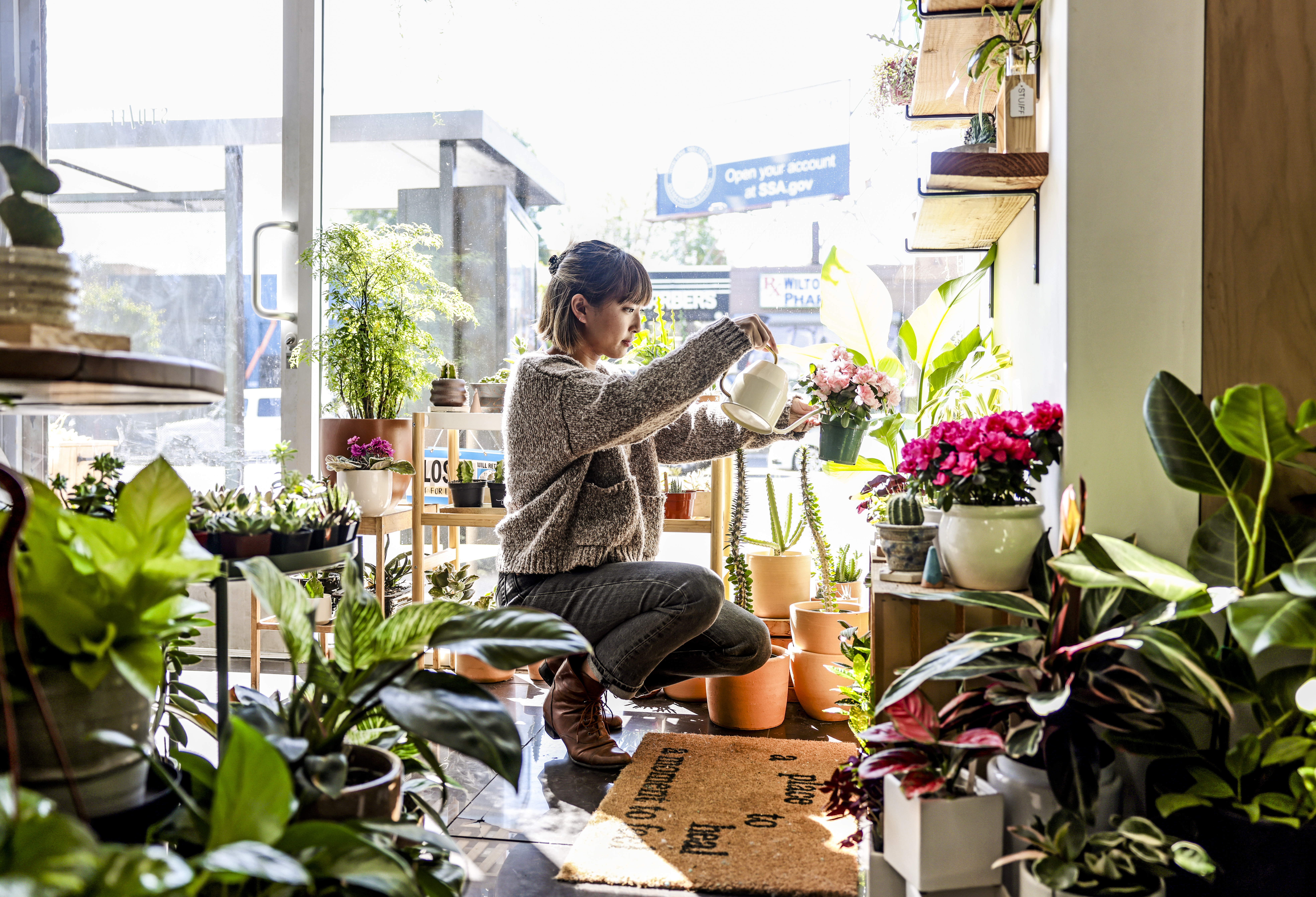 Stuff plant shop in Hollywood is a hub for creatives next to a Thai restaurant - Vimarsana News