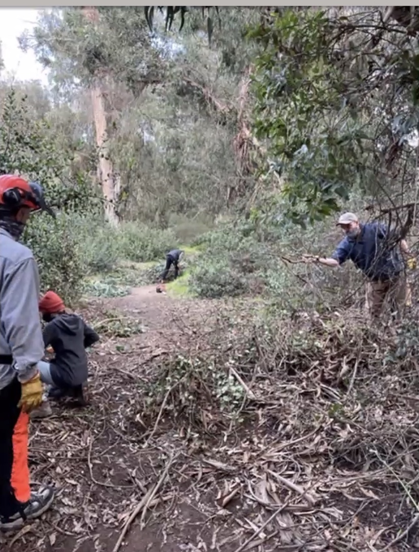 Shores group's efforts to clean up Pottery Canyon continue with planning for next phase - Vimarsana News