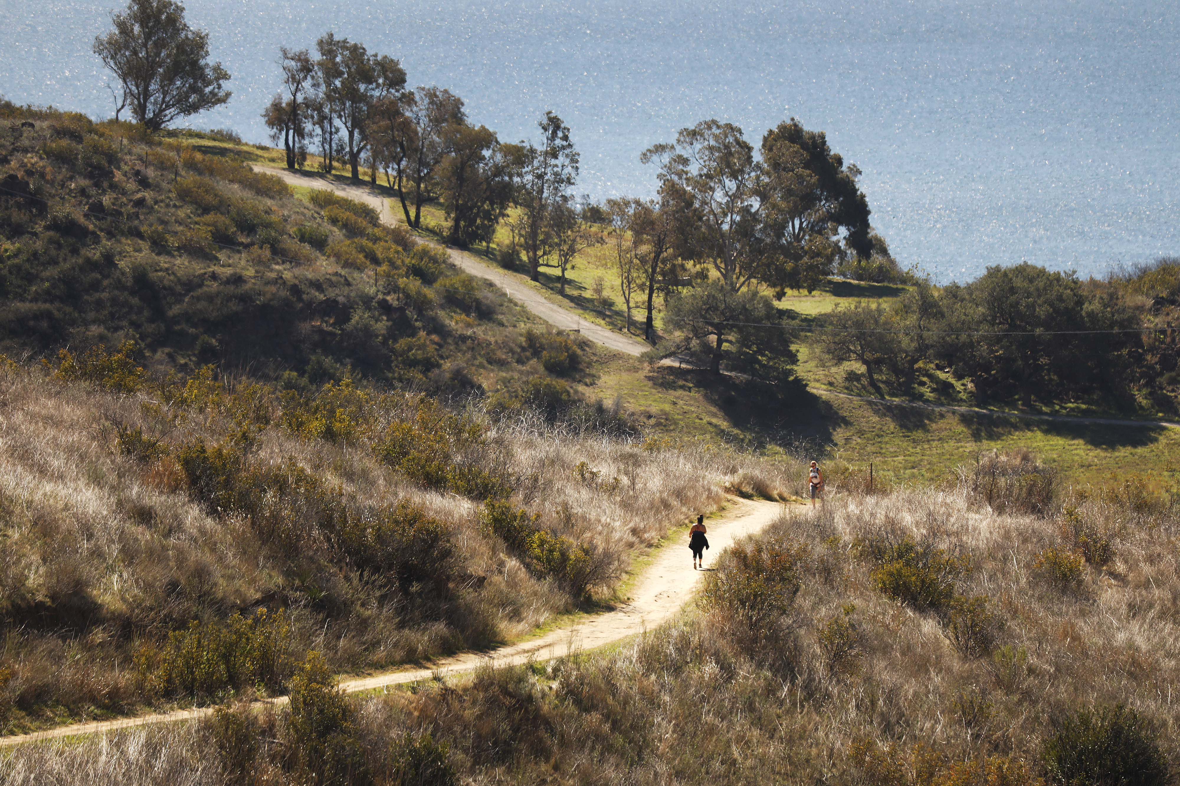 Molotov cocktails found in Santa Monica Mountains; man arrested - Vimarsana News