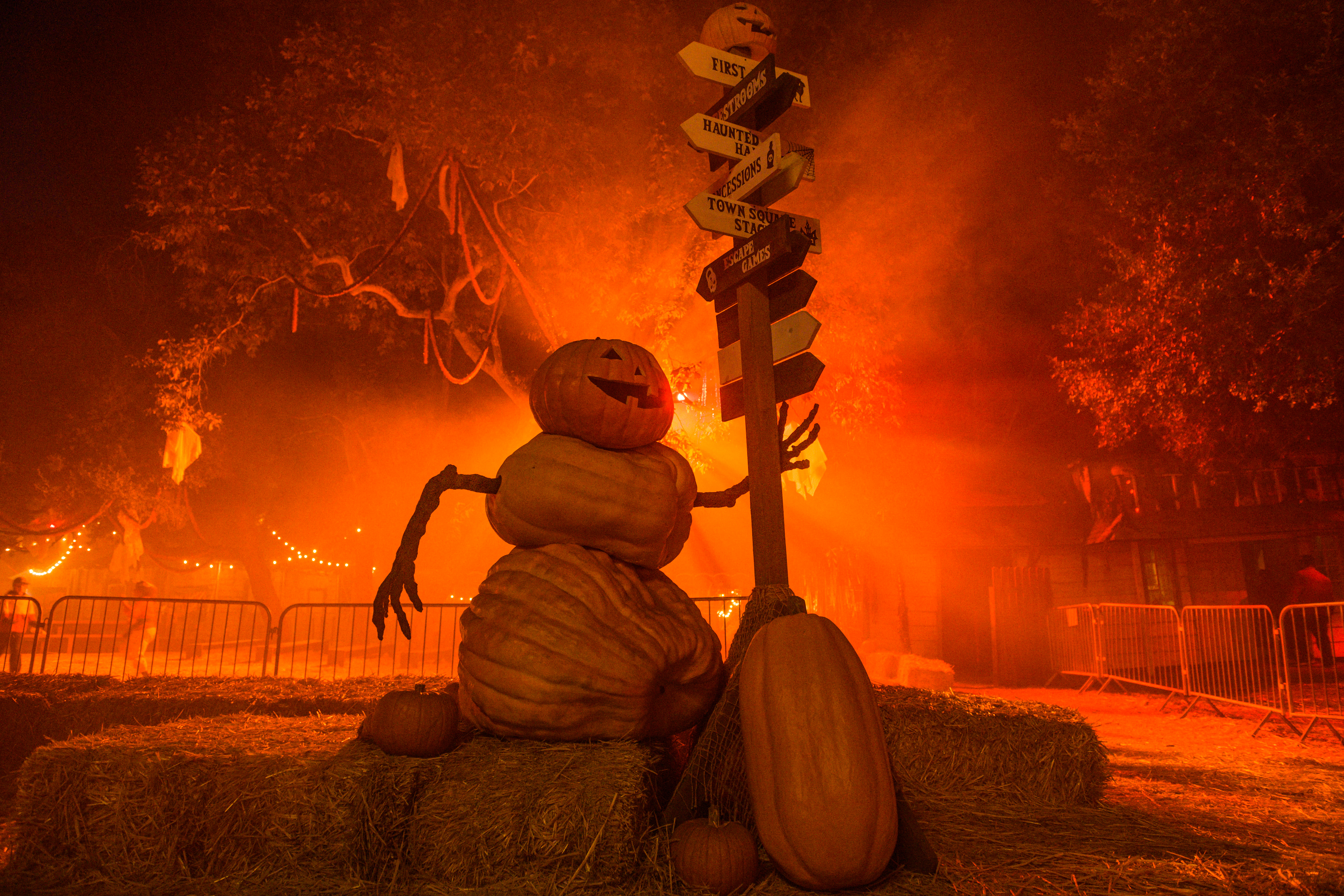 L.A. events, activities for Halloween: Elfman, Eilish, more - Vimarsana News